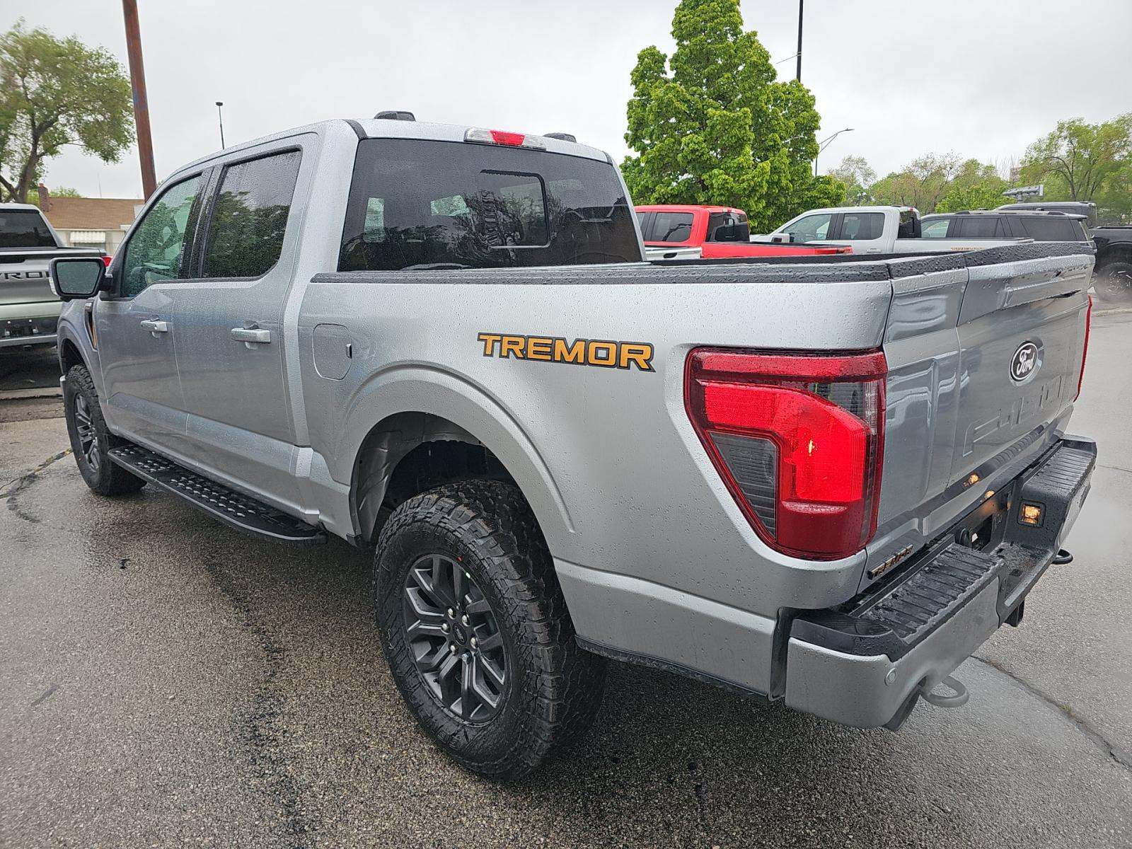 FORD F-150 - 2