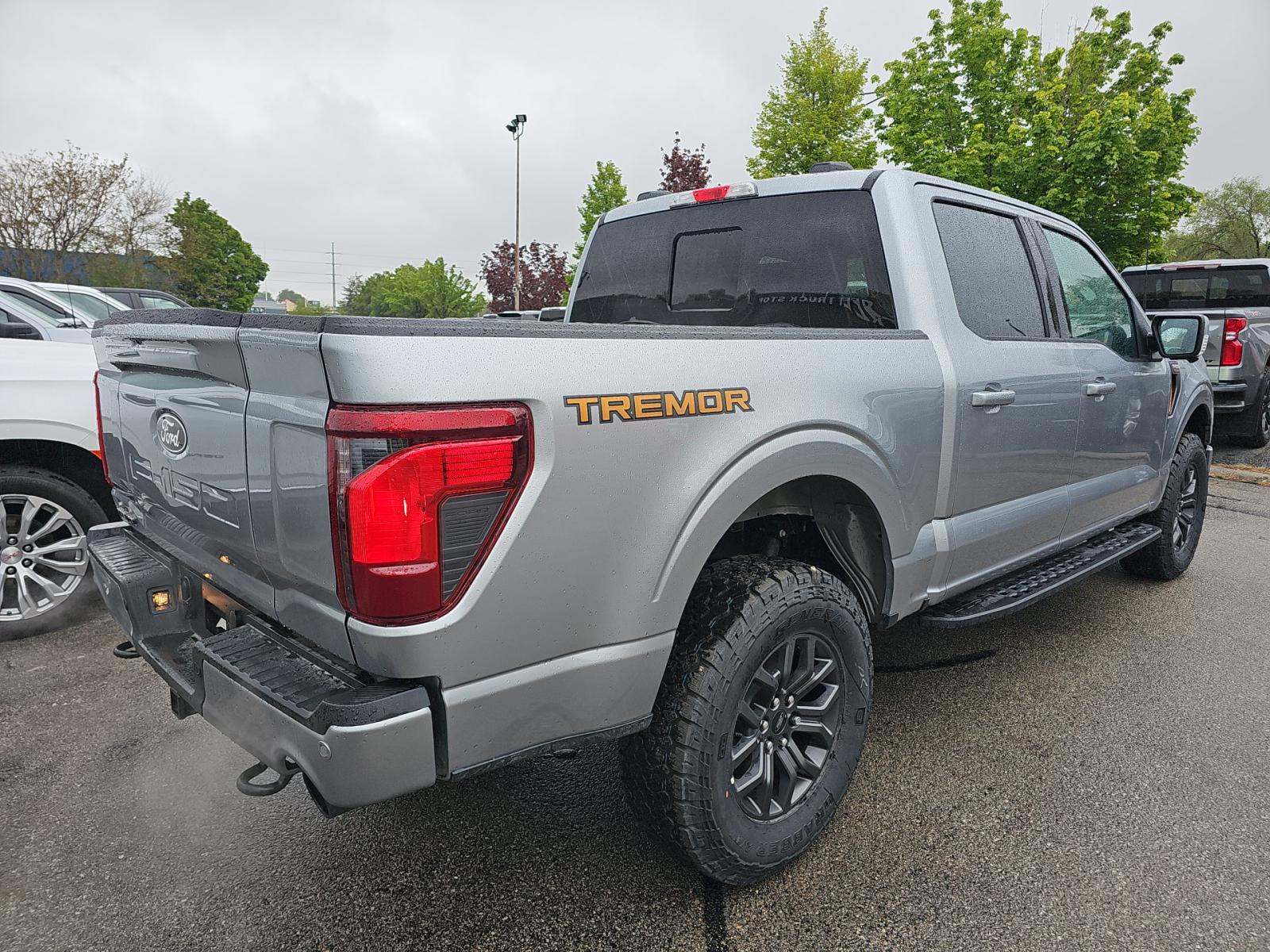 FORD F-150 - 3