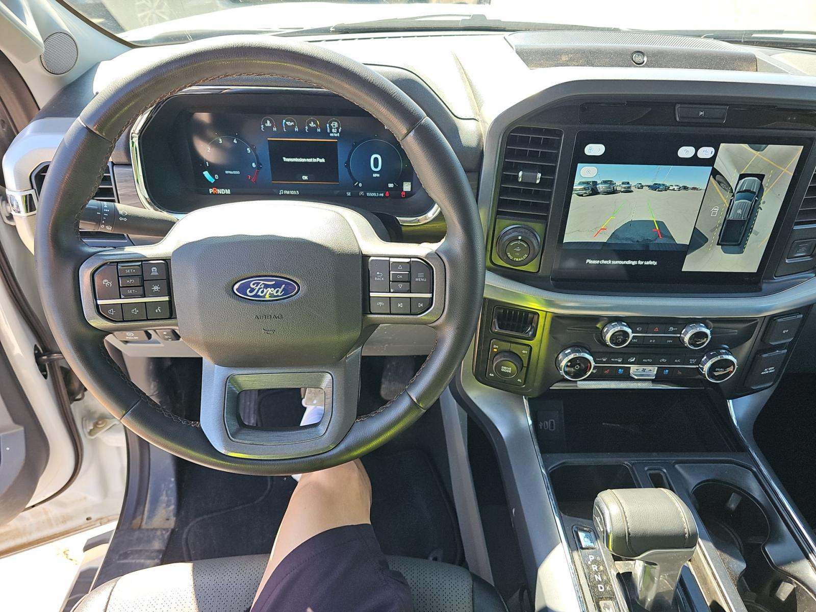 FORD F-150 - 10