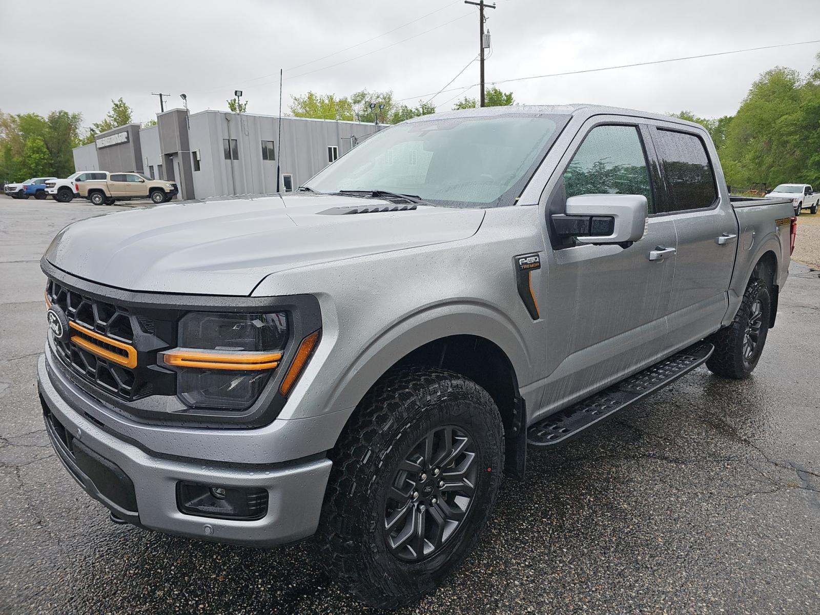 FORD F-150 - 1