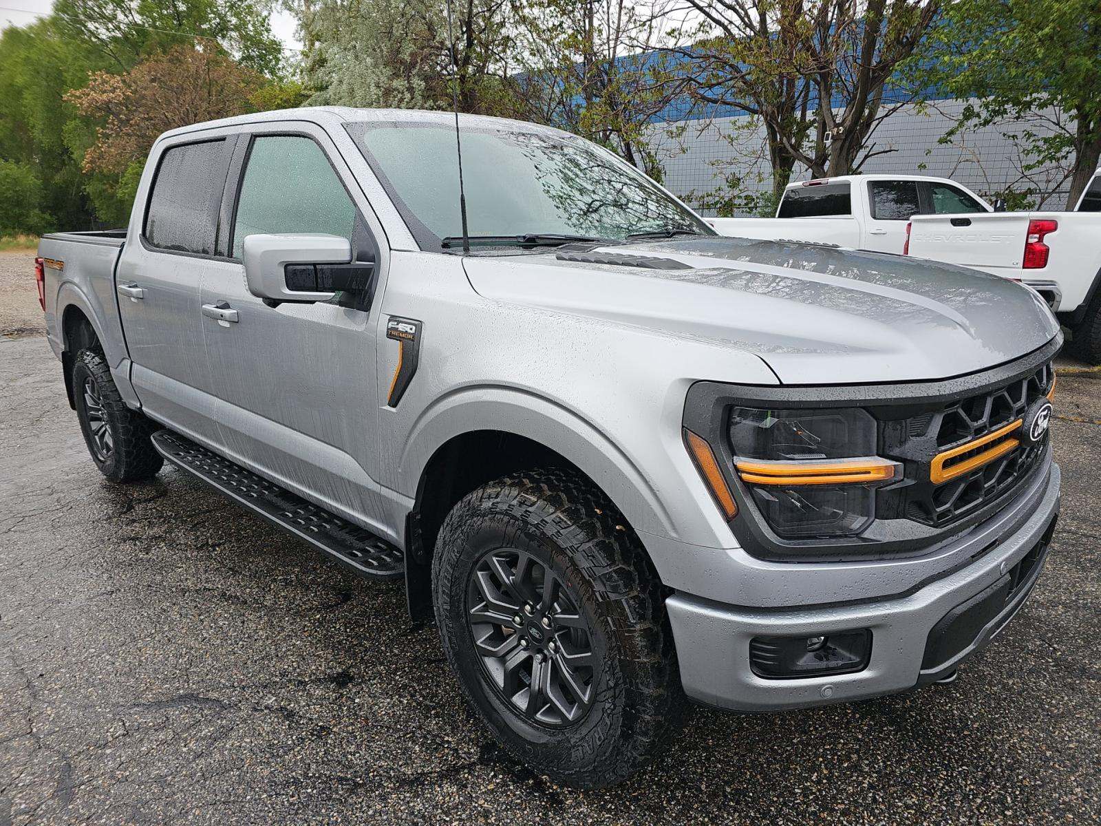 FORD F-150 - 4