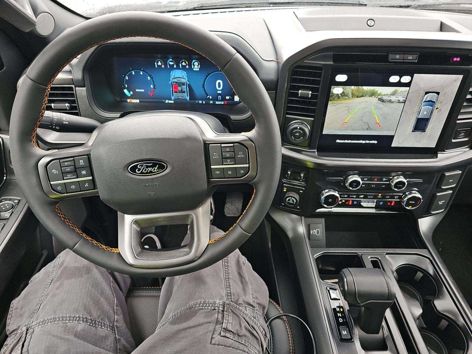 FORD F-150 - 10