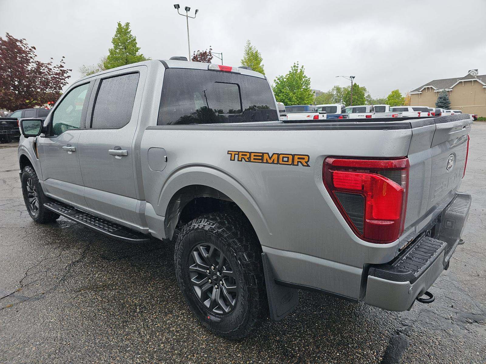 FORD F-150 - 2