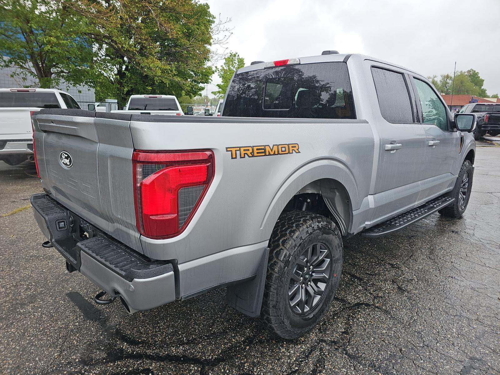 FORD F-150 - 3