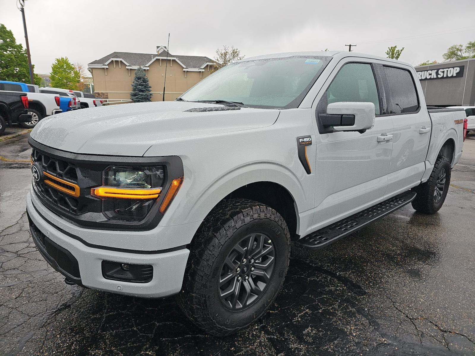 FORD F-150 - 1