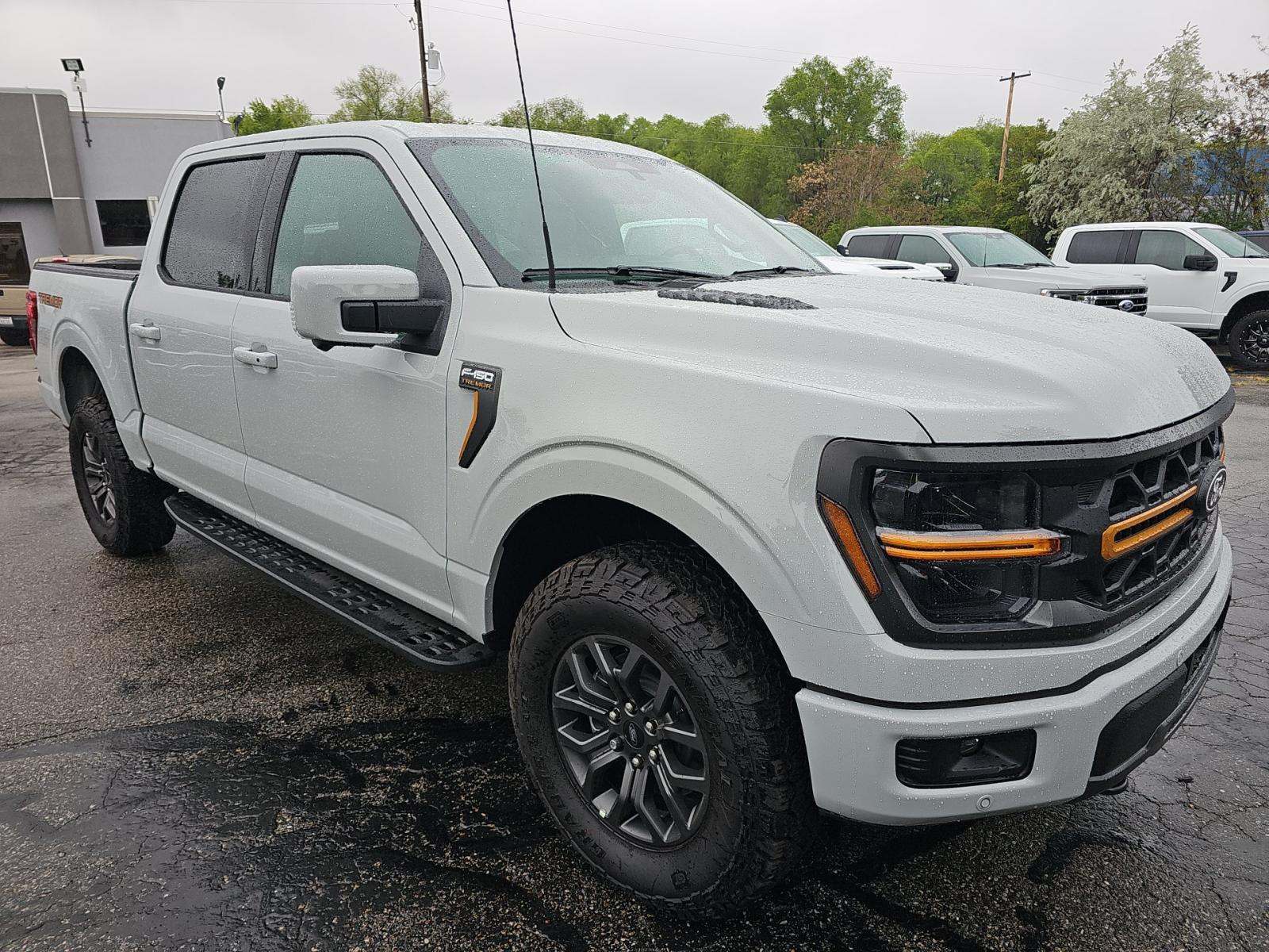 FORD F-150 - 4