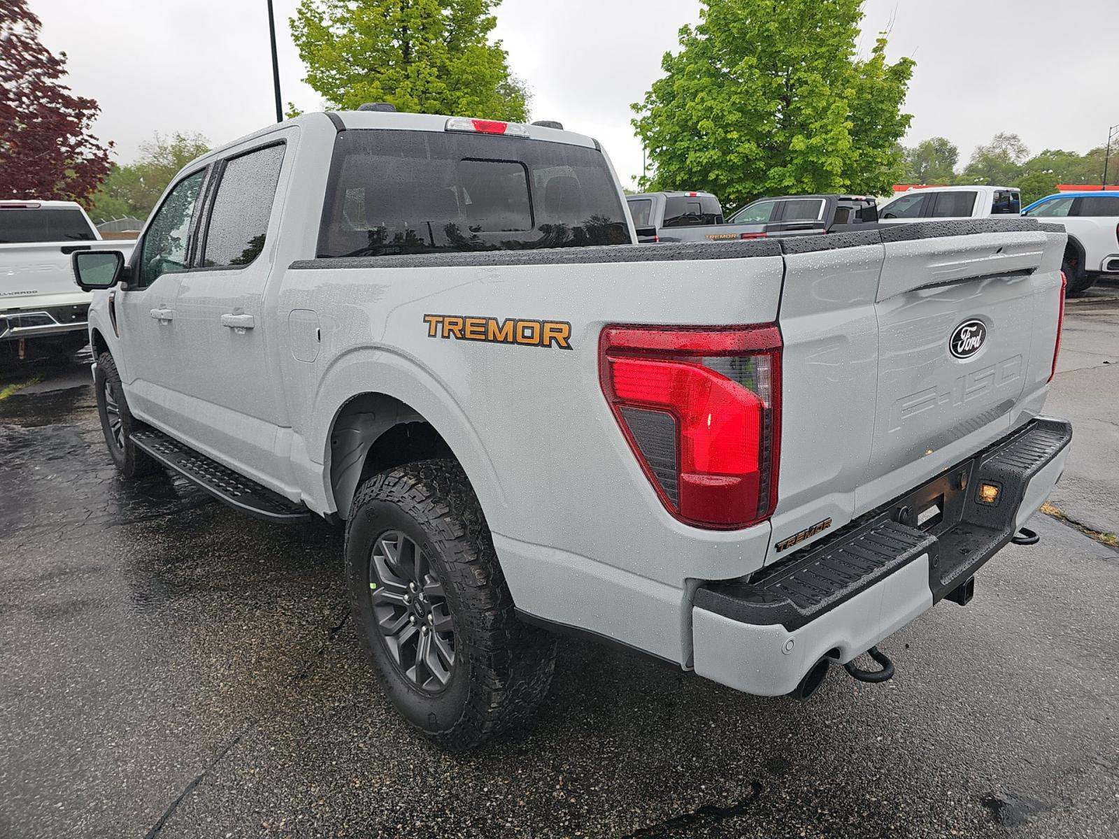 FORD F-150 - 2