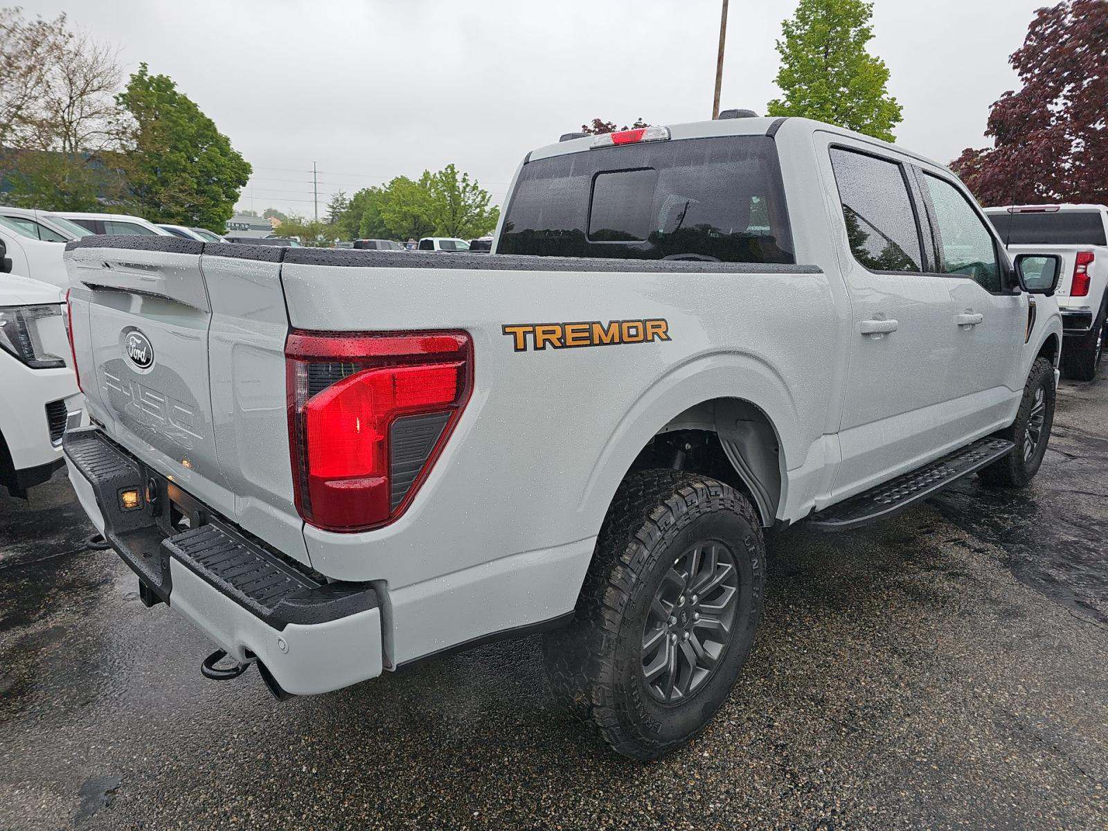 FORD F-150 - 3
