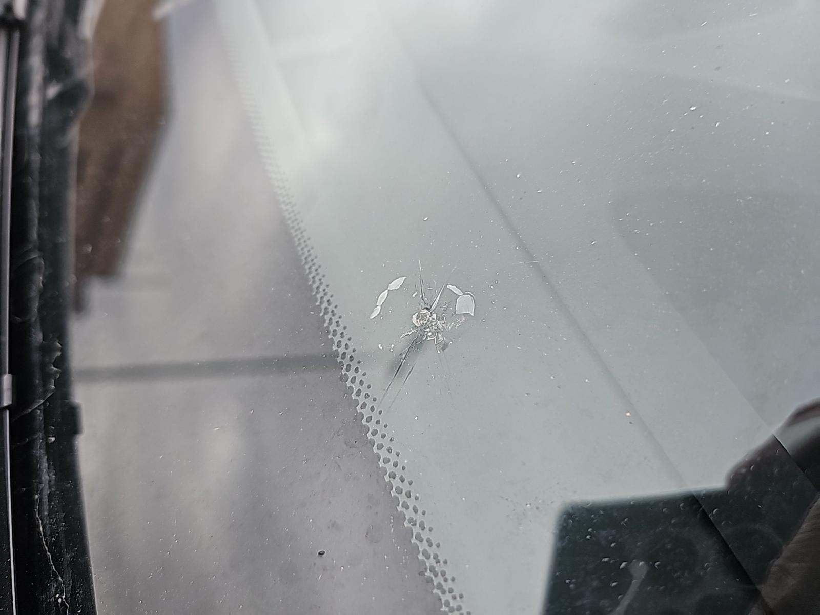 2025 BMW X7 xDrive40i AWD