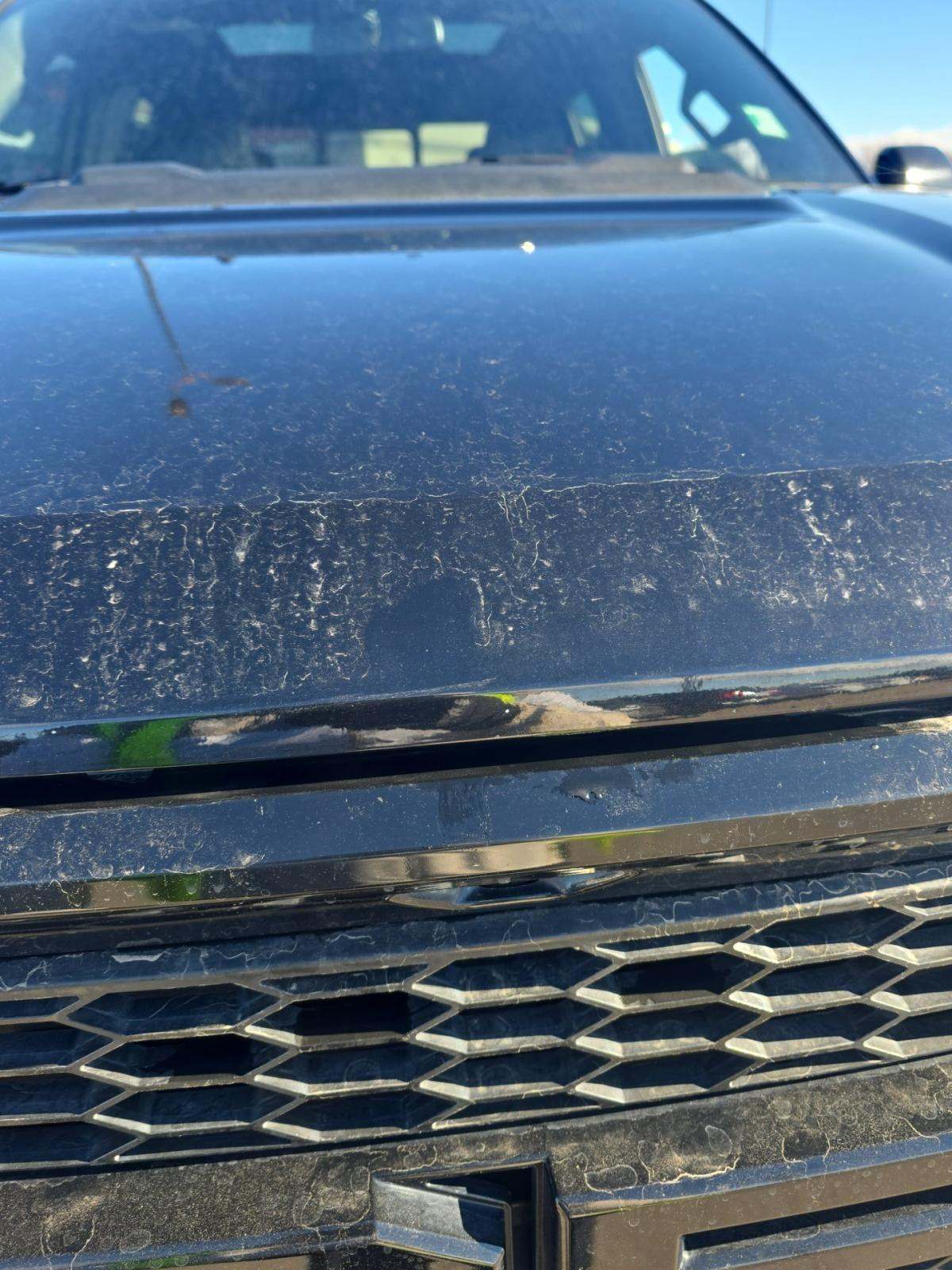 2019 Ford F-150 Raptor AWD