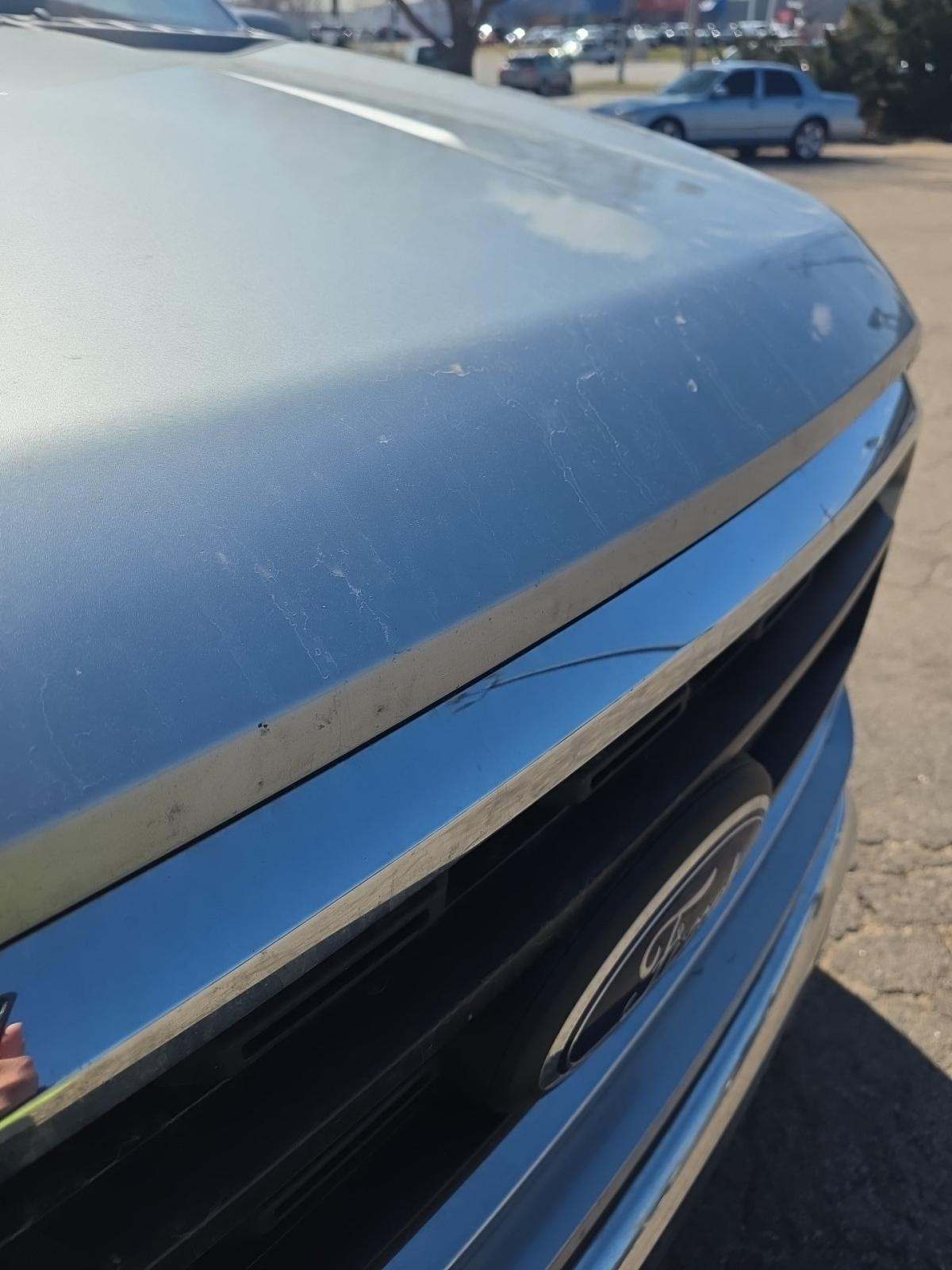 2023 Ford F-150 XLT RWD