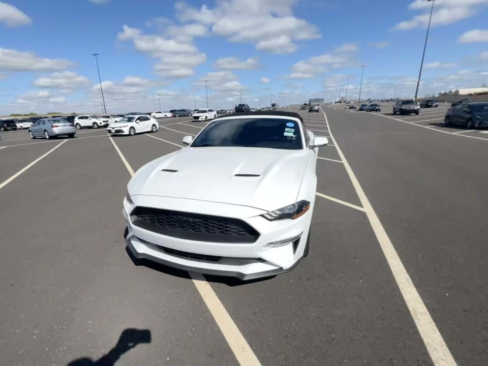 2019 Ford Mustang EcoBoost Premium RWD