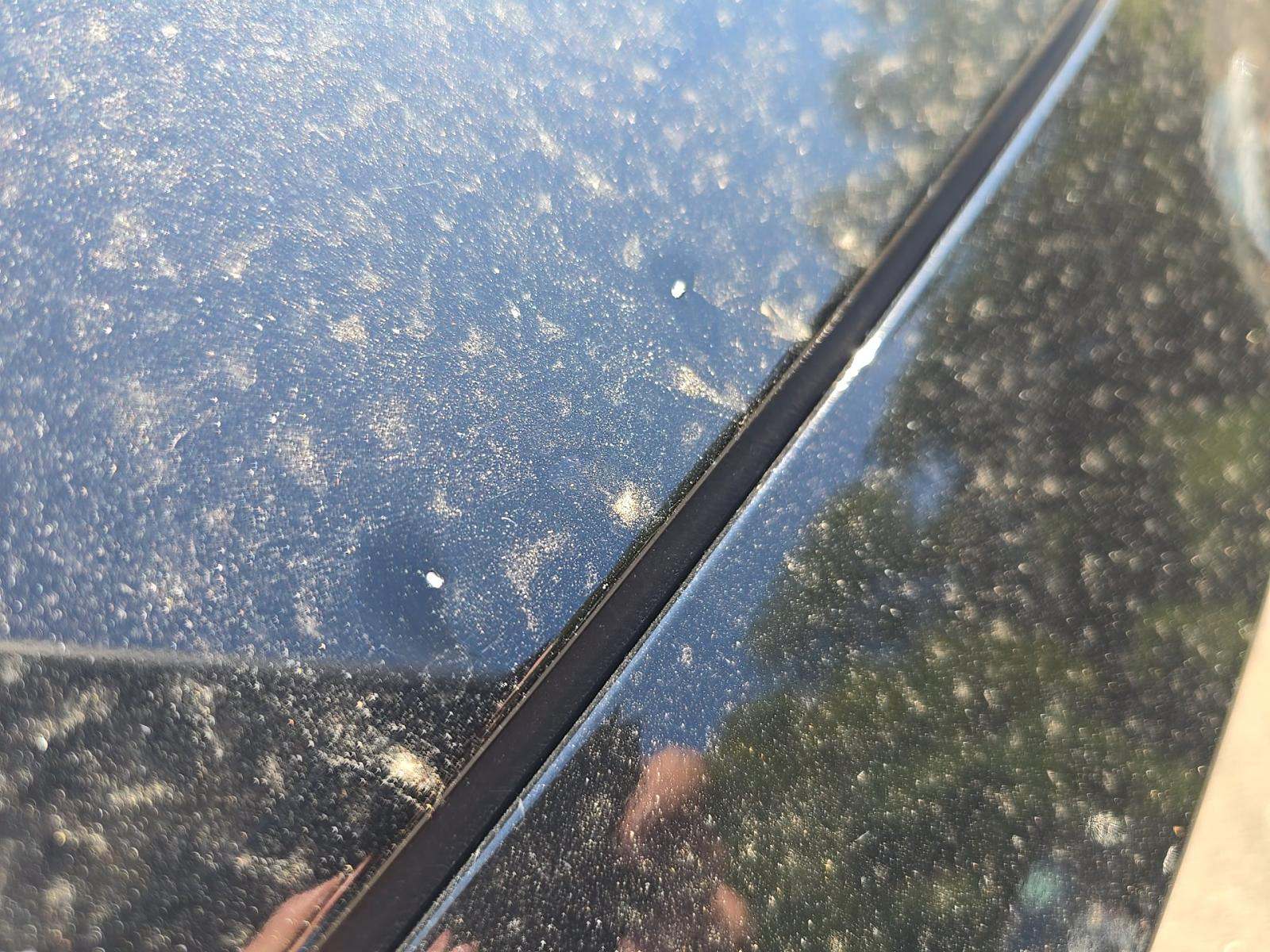 2017 Ford Mustang GT Premium RWD