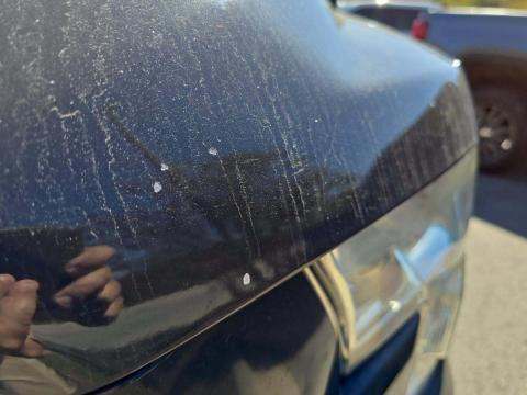 2016 Ford F-150 XLT RWD