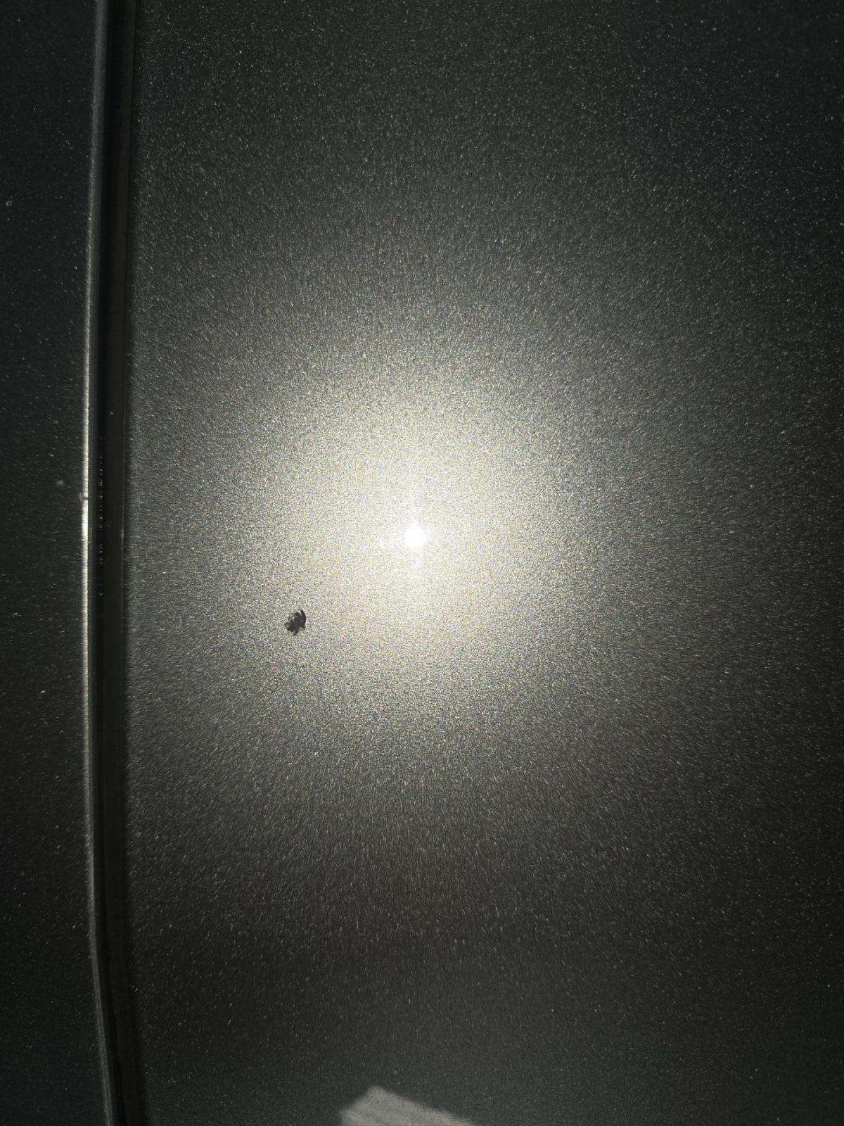 2024 Ford Mustang EcoBoost Premium RWD