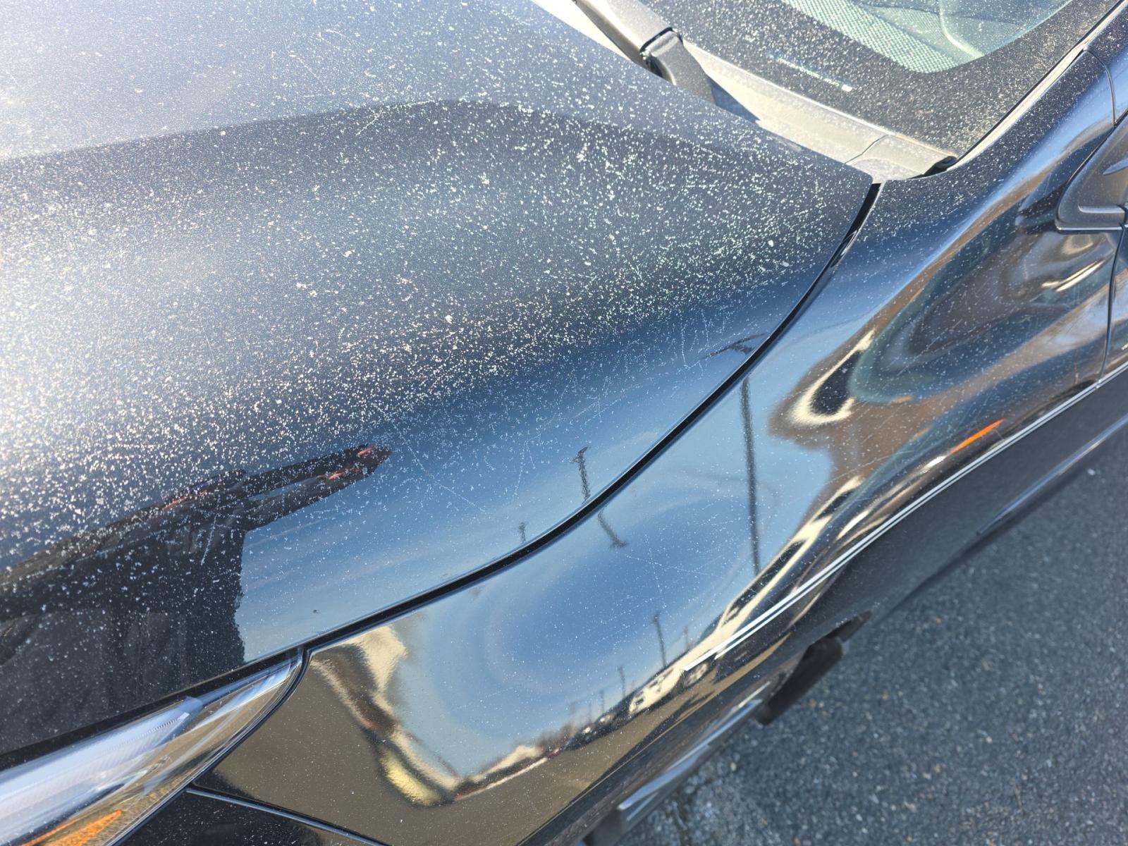 2023 Toyota Corolla XSE FWD