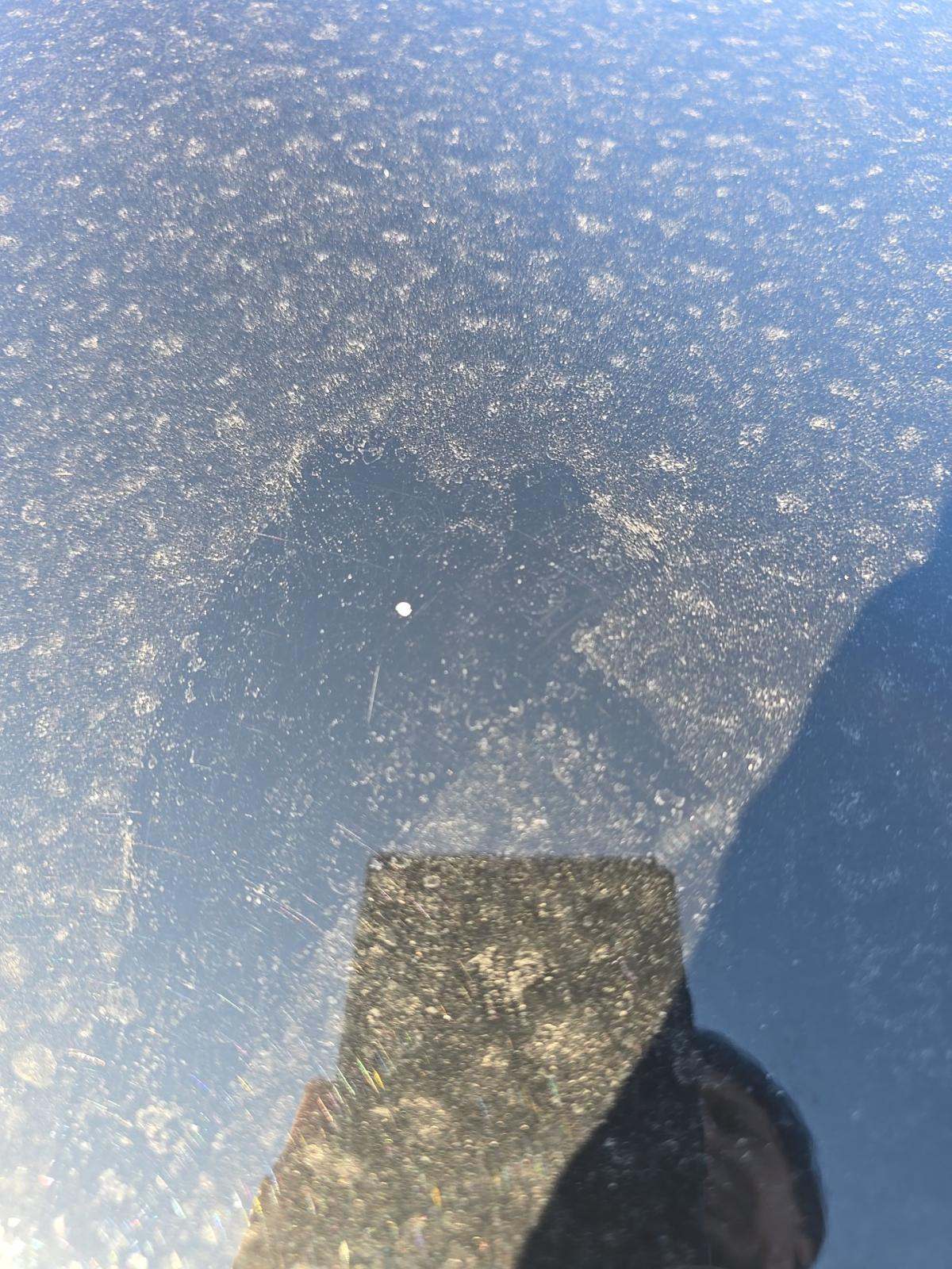 2024 Nissan Rogue SV AWD