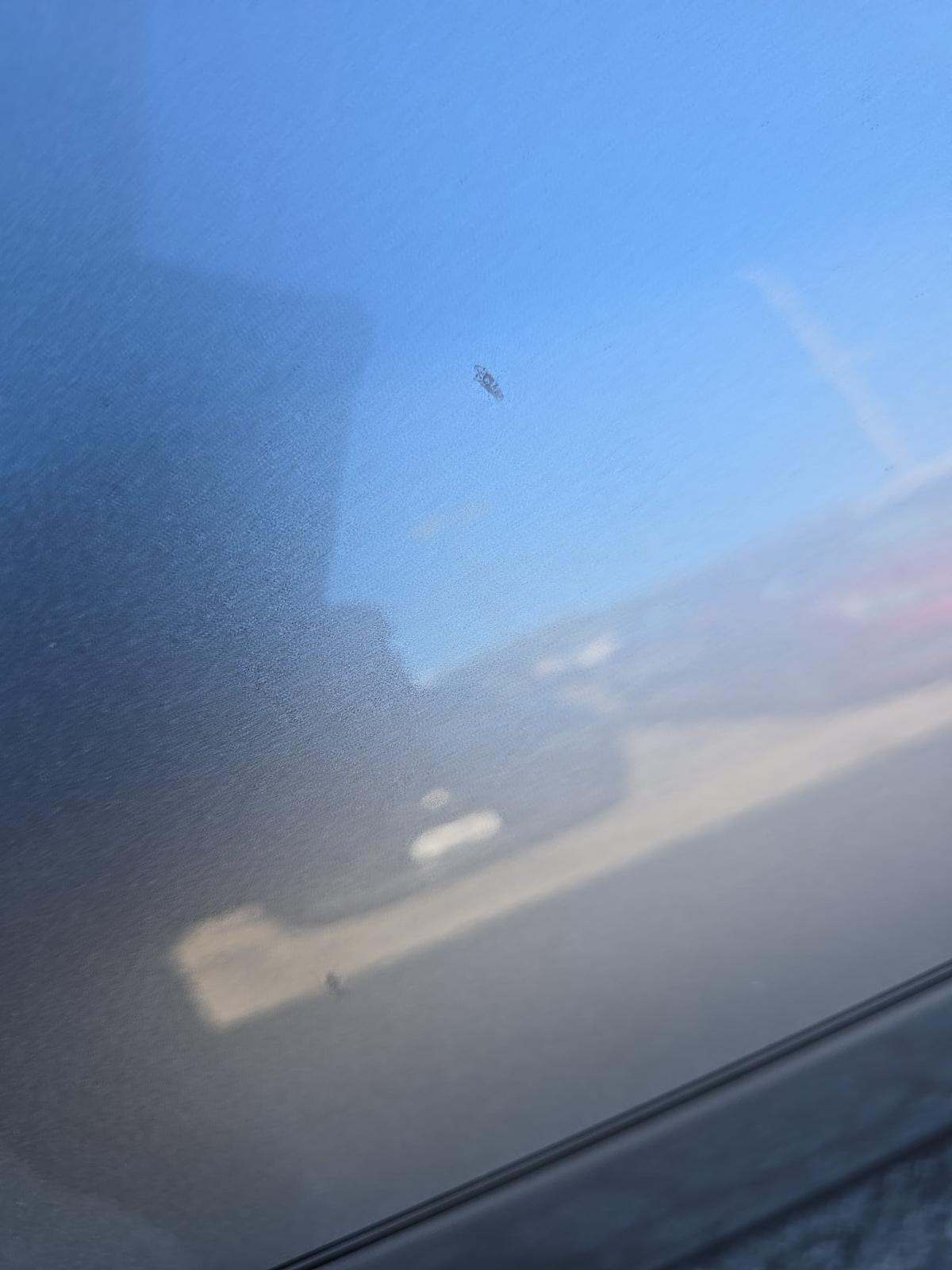 2024 Ford Mustang EcoBoost Premium RWD