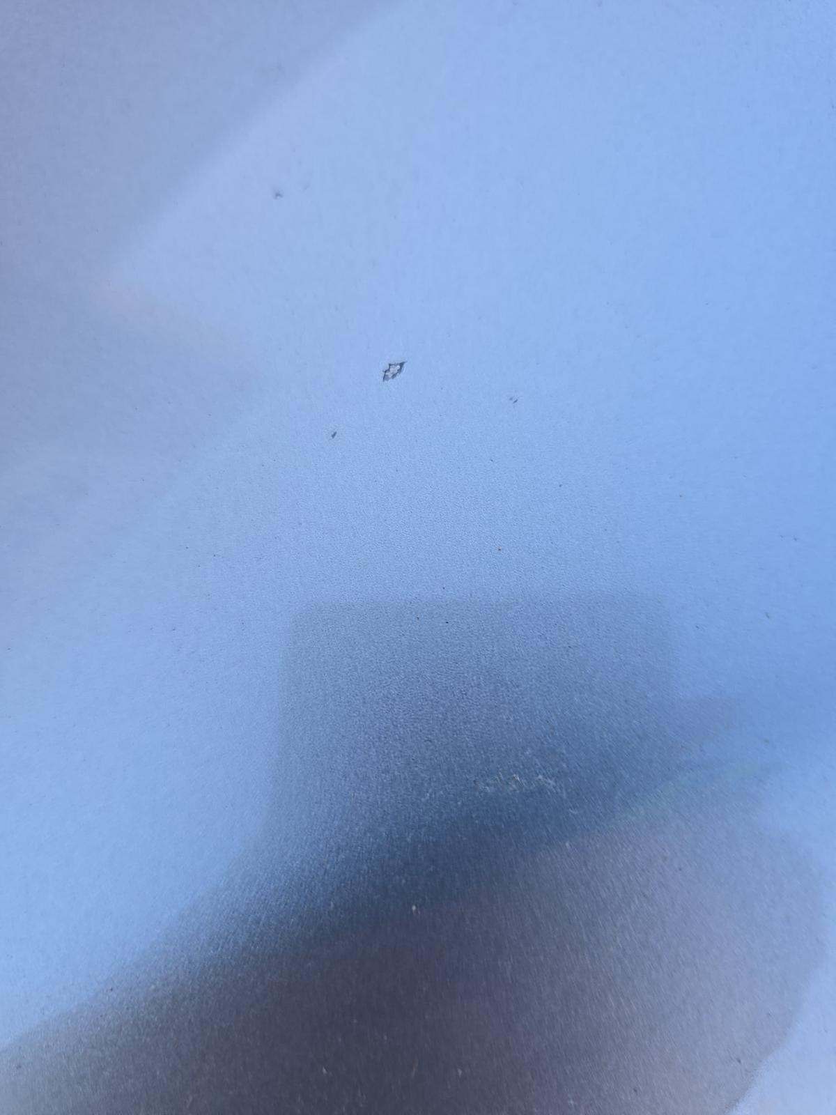 2024 Ford Mustang EcoBoost Premium RWD