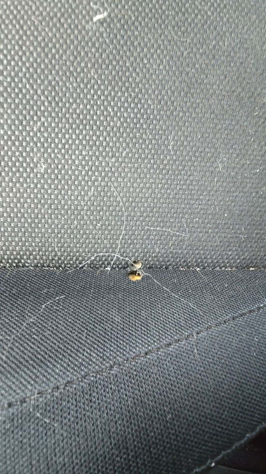 2013 Nissan JUKE S AWD