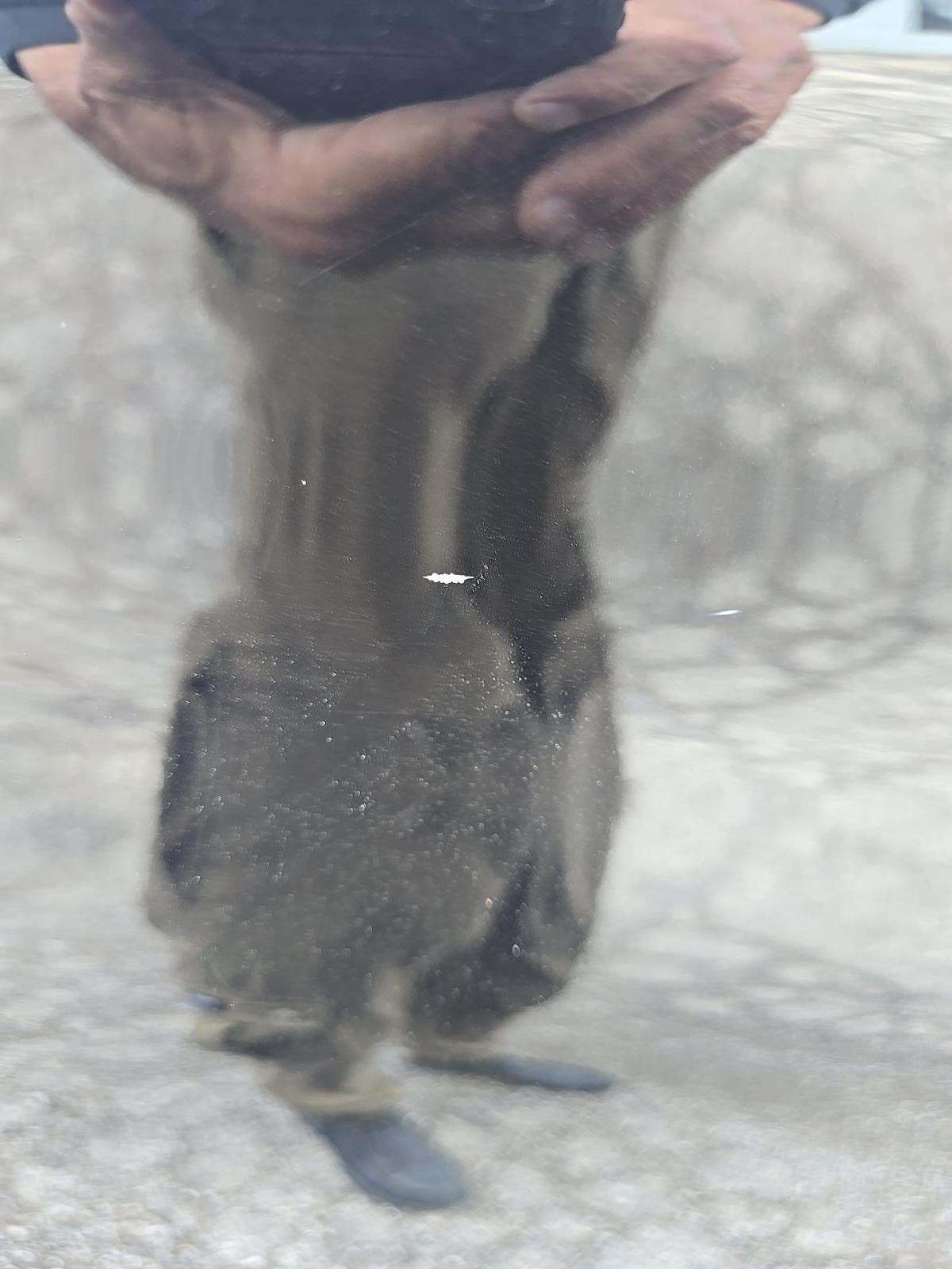 2025 Ford Explorer ST-Line AWD