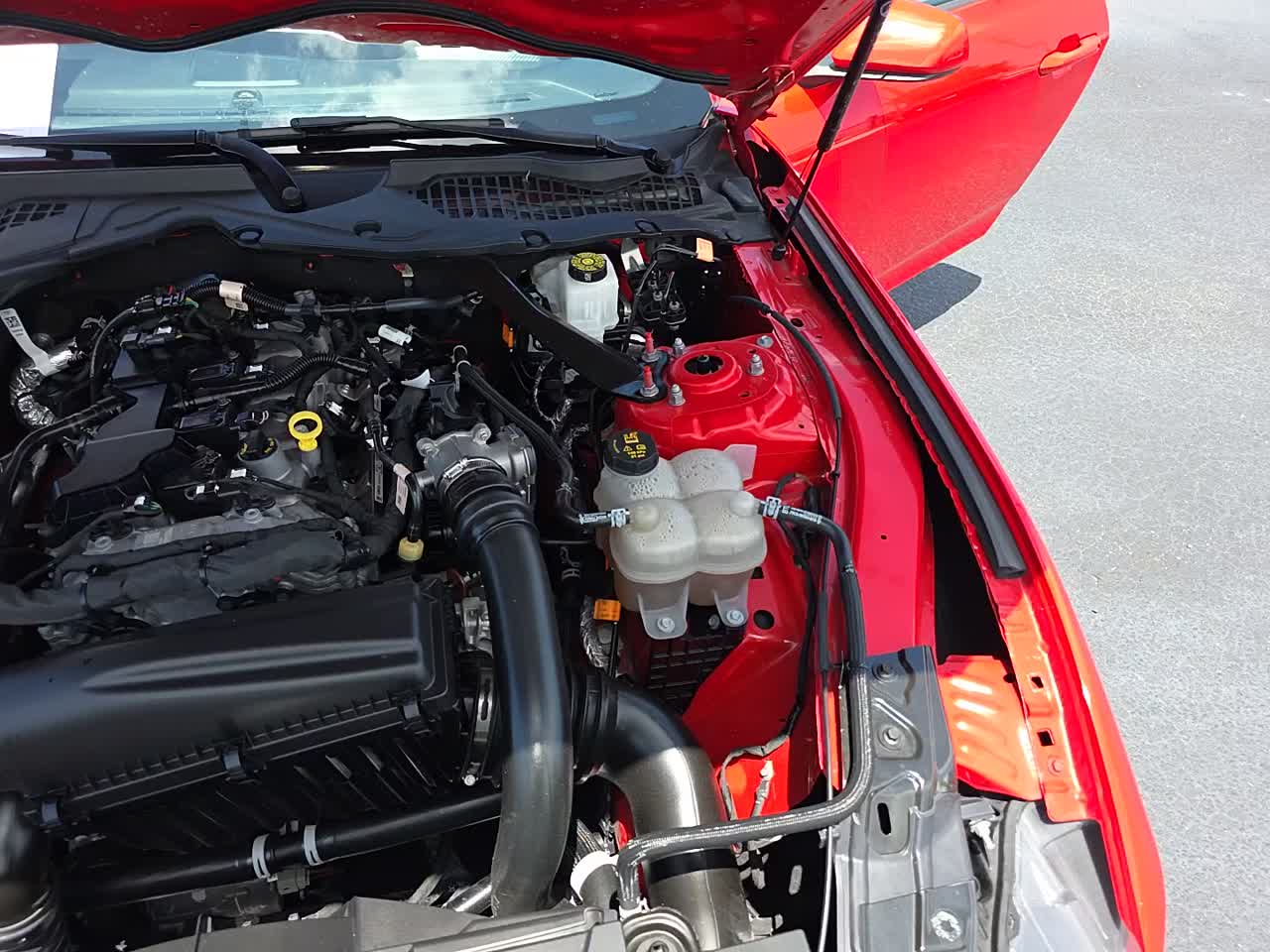 2024 Ford Mustang EcoBoost Premium RWD