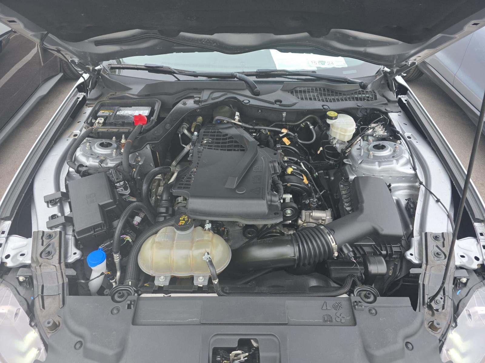 2023 Ford Mustang EcoBoost RWD