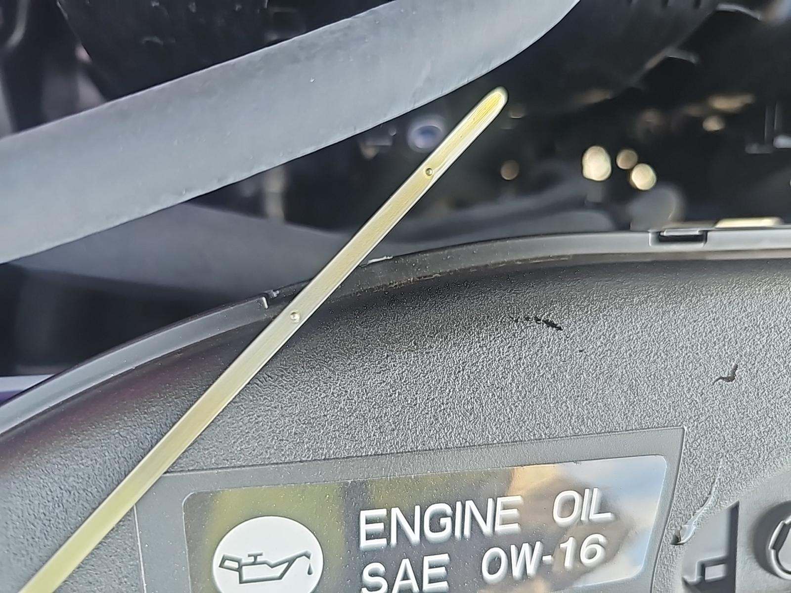 2025 Toyota Prius Plug-In Hybrid XSE FWD