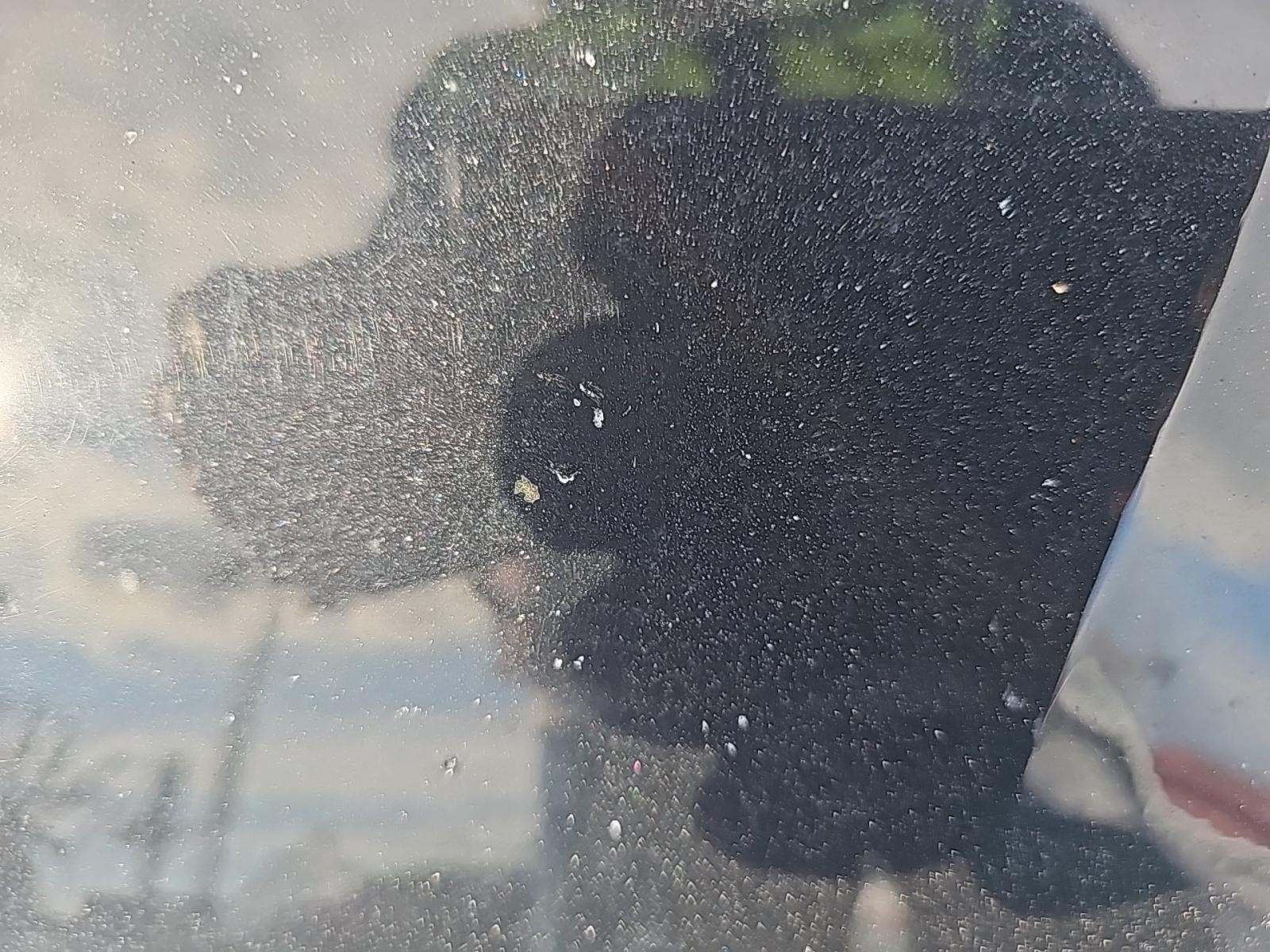 2024 Audi A5 S Line Premium Plus AWD