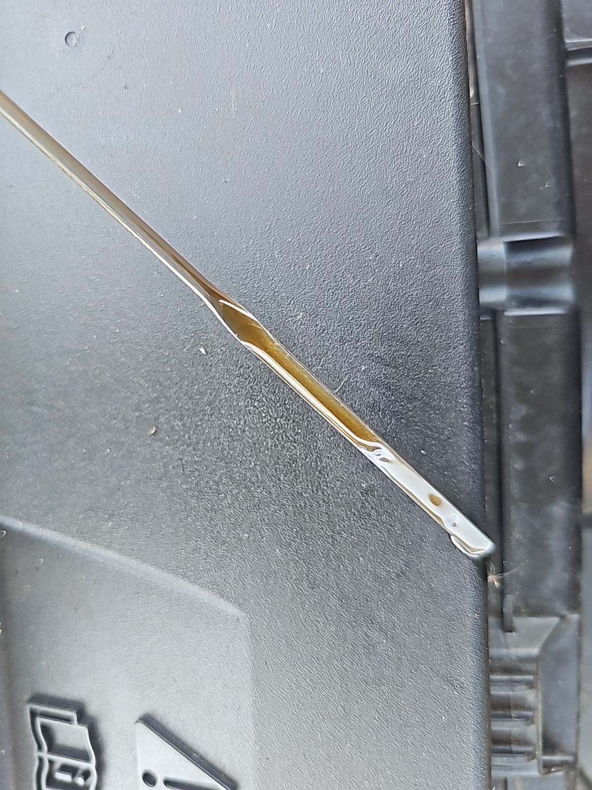 2024 Ford Mustang EcoBoost Premium RWD