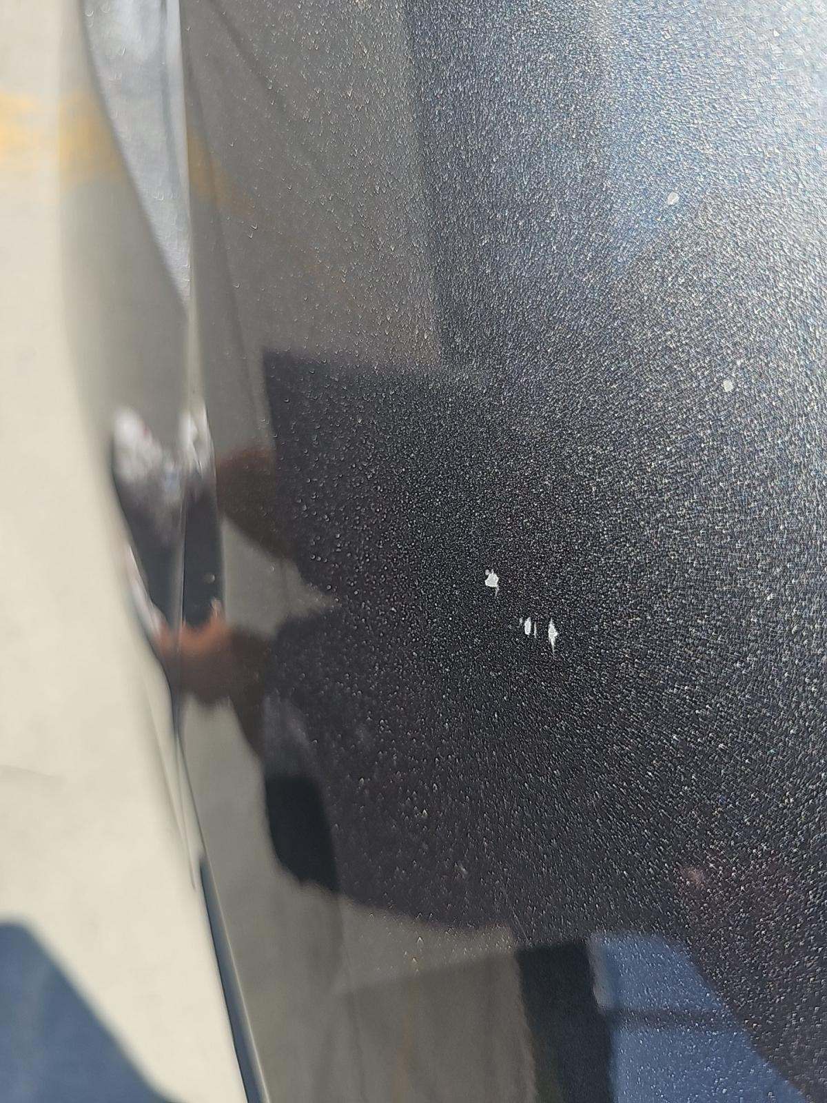 2024 Ford Mustang EcoBoost Premium RWD