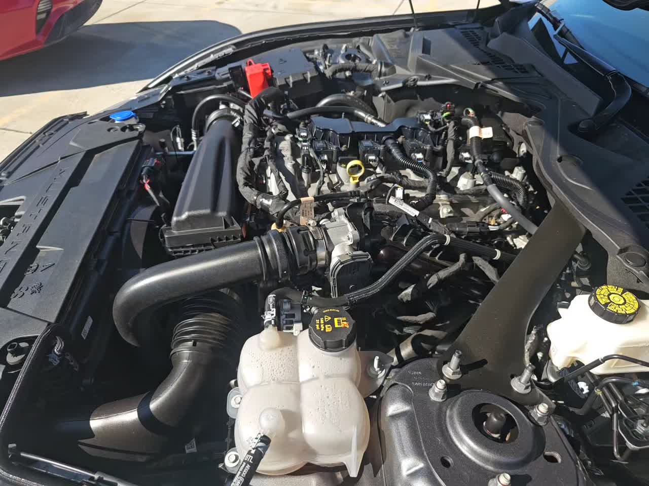 2024 Ford Mustang EcoBoost Premium RWD