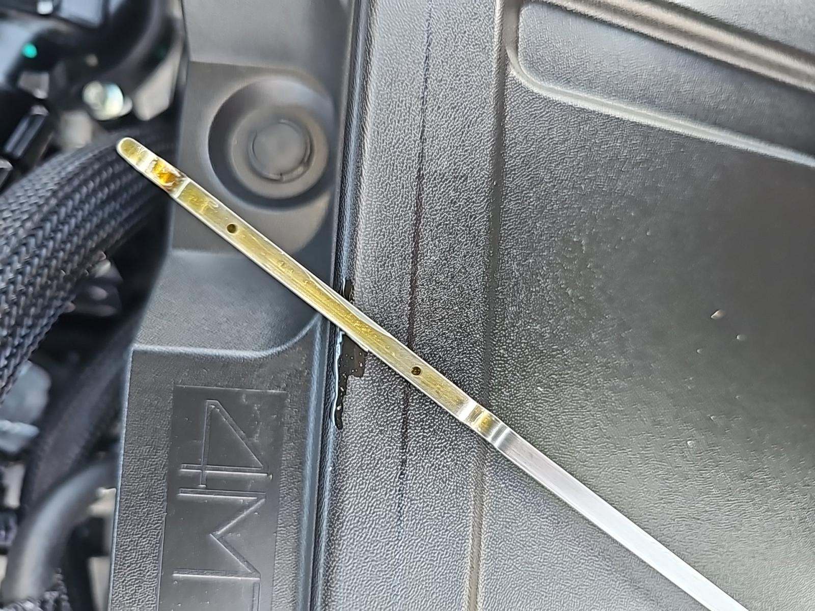 2025 Nissan Rogue SL FWD