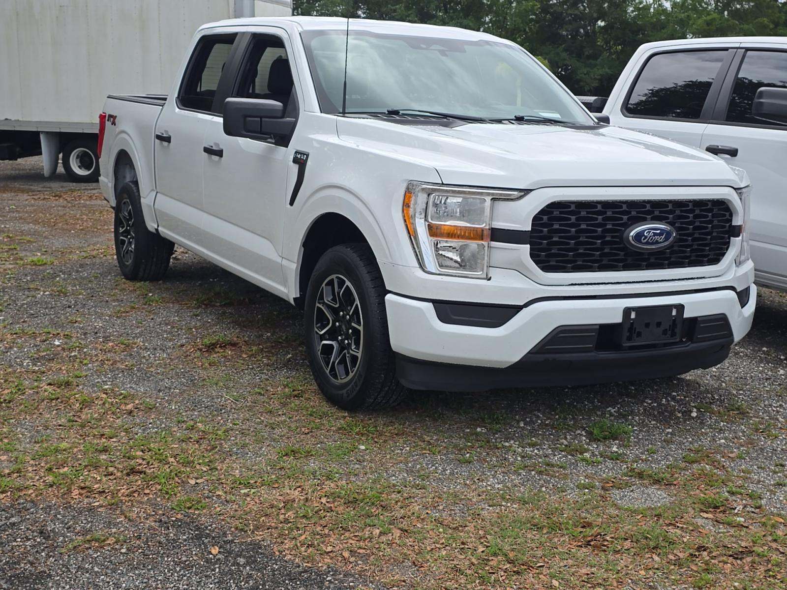 FORD F-150 - 4
