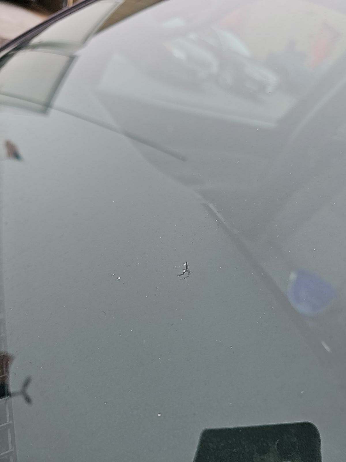 2013 Toyota Tacoma PreRunner RWD