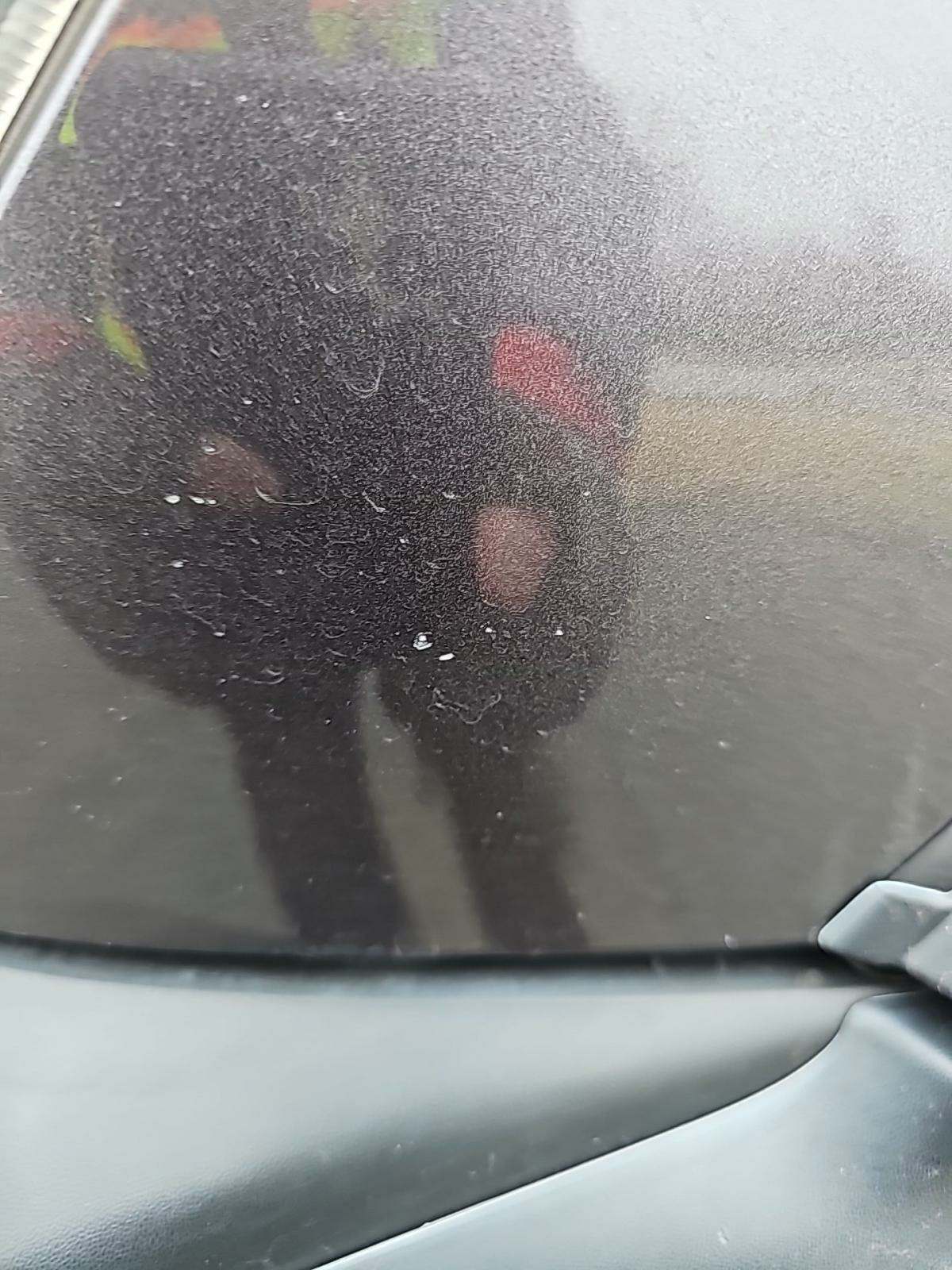 2013 Toyota Tacoma PreRunner RWD