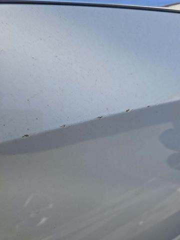 2018 Honda Odyssey EX-L FWD