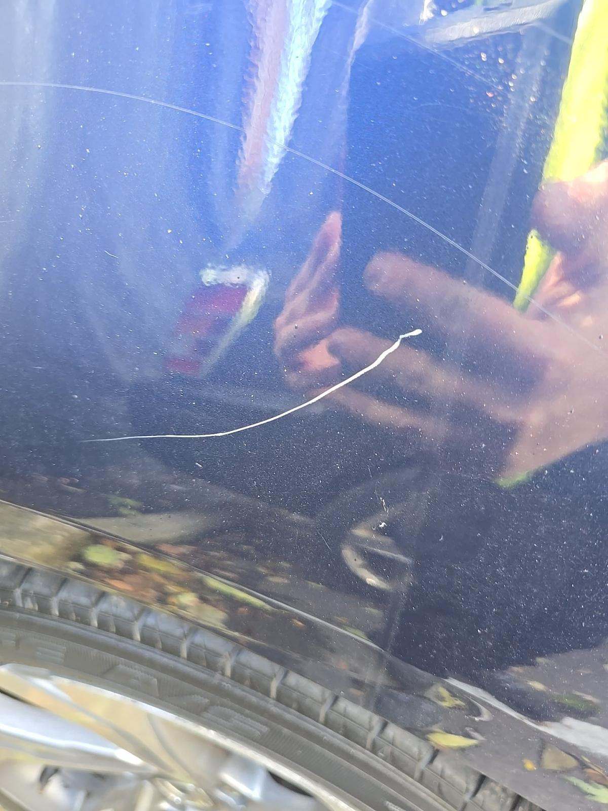 2019 Honda Accord EX-L FWD