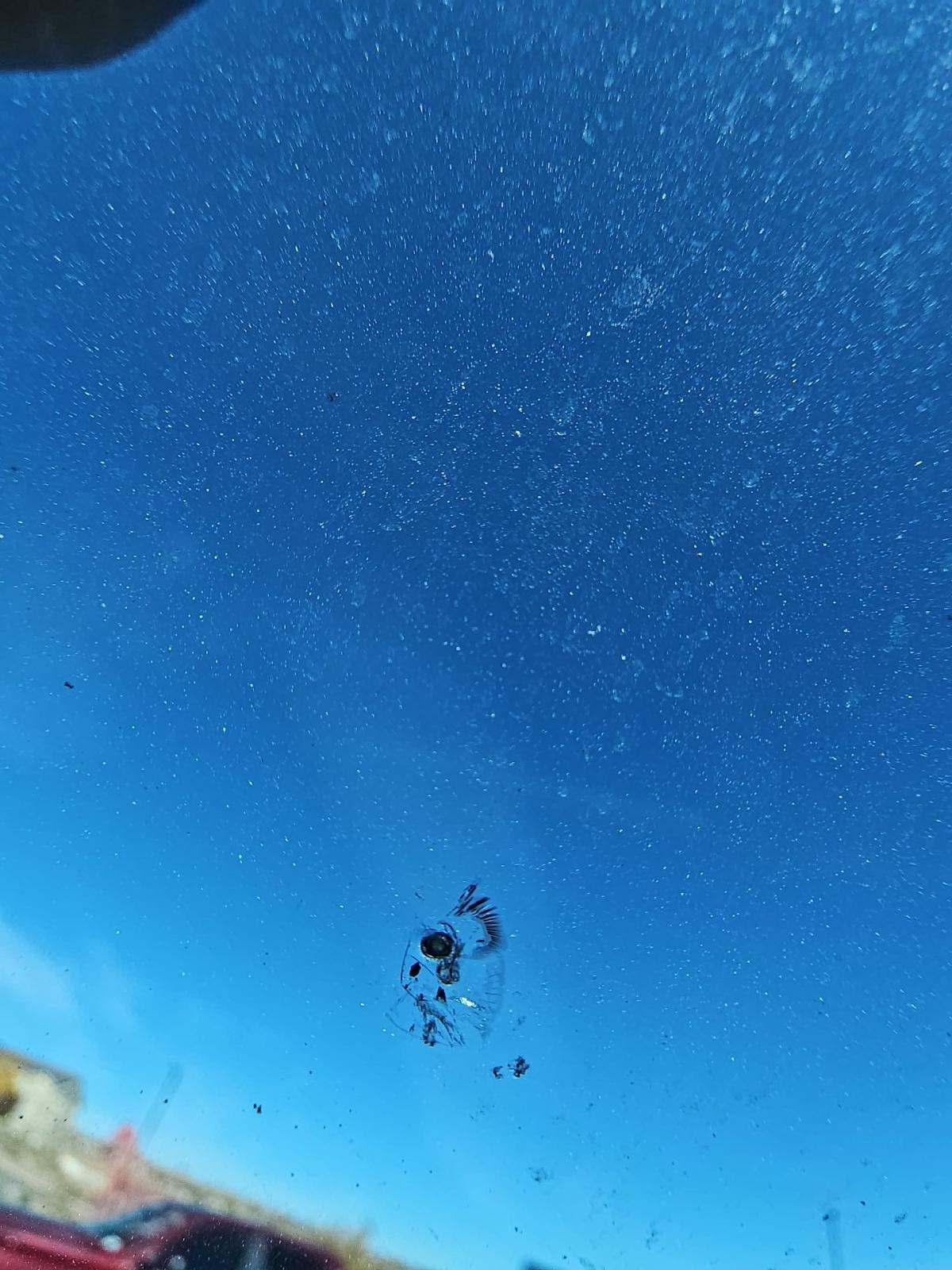 2020 Ford F-150 Lariat AWD