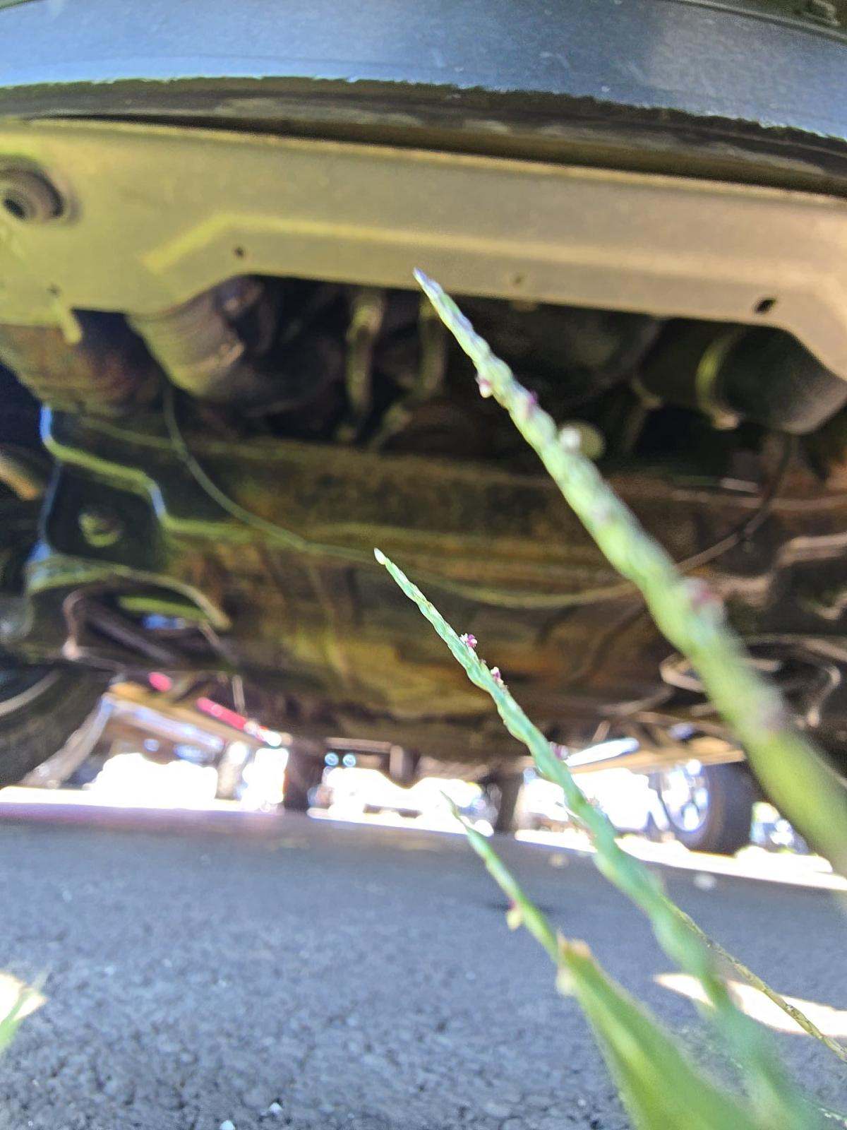 2015 Ford F-150 Lariat AWD