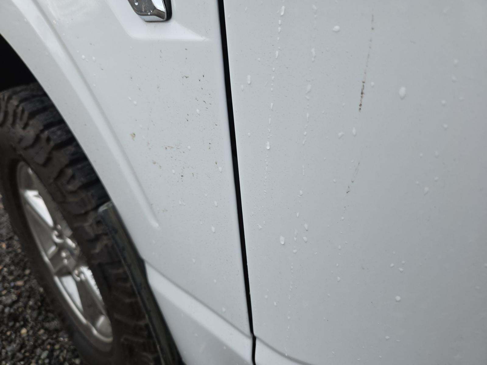 2024 Ford F-150 XLT AWD