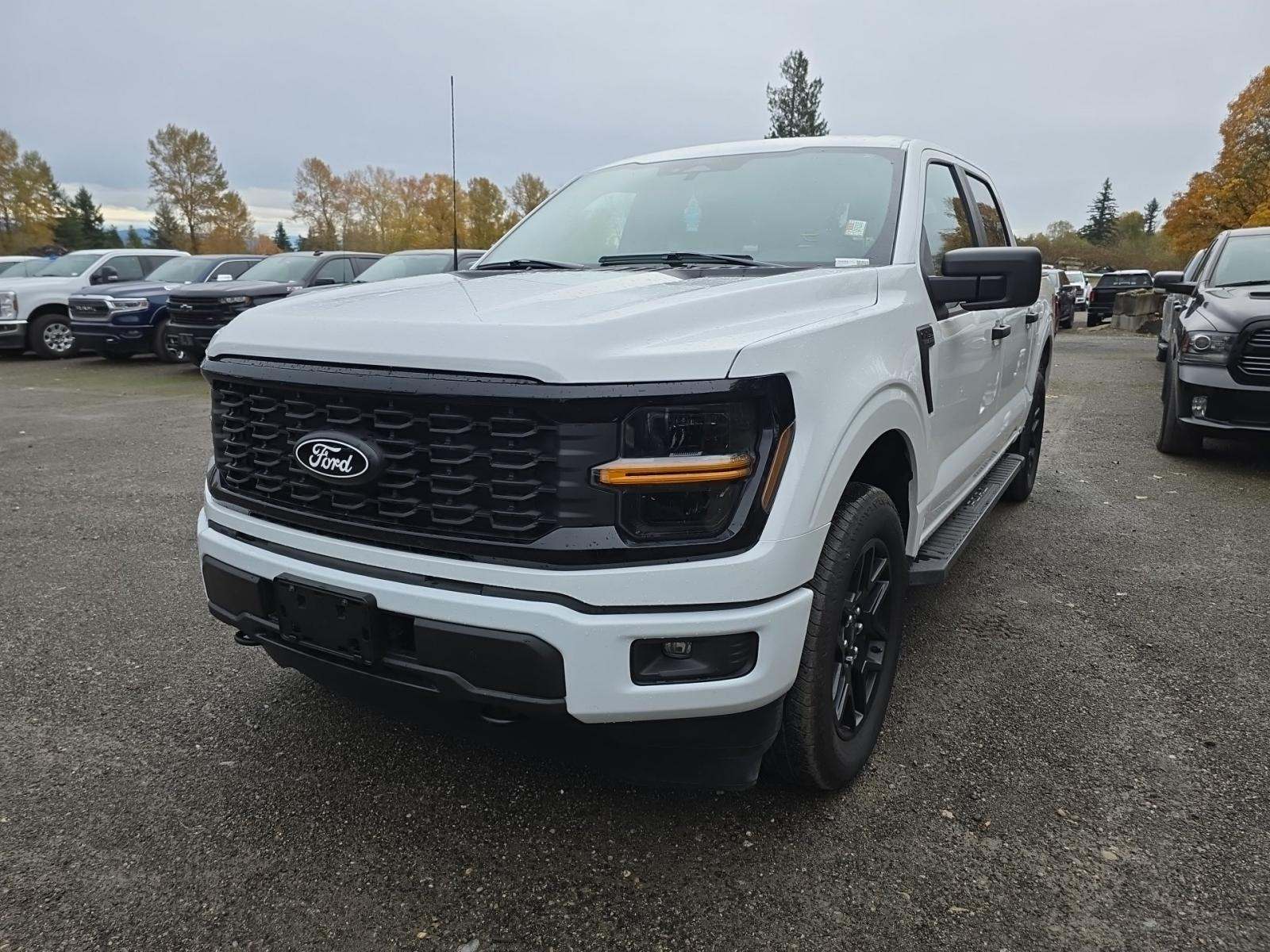 2024 Ford F-150 STX AWD