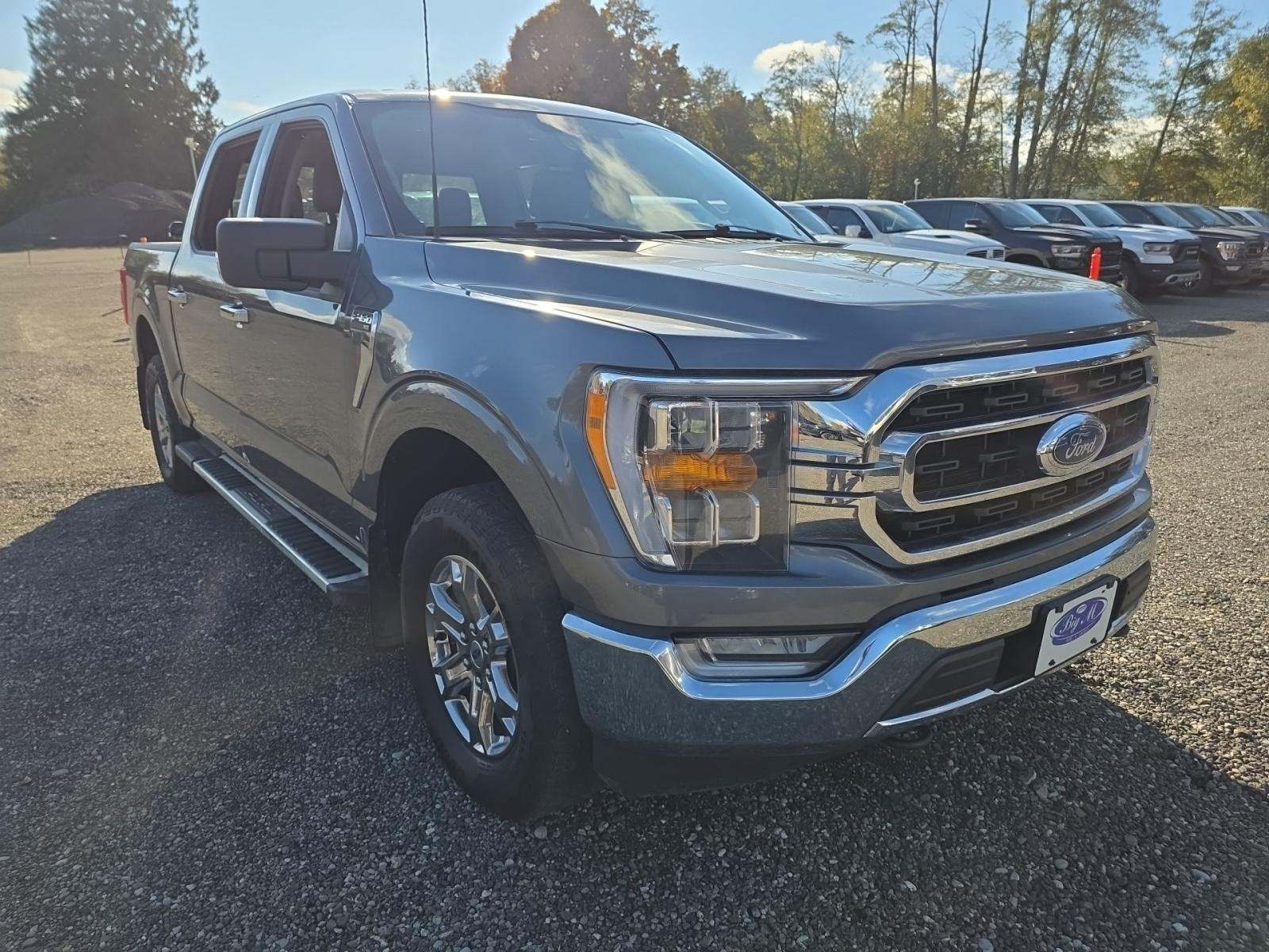 2023 Ford F-150 XLT AWD