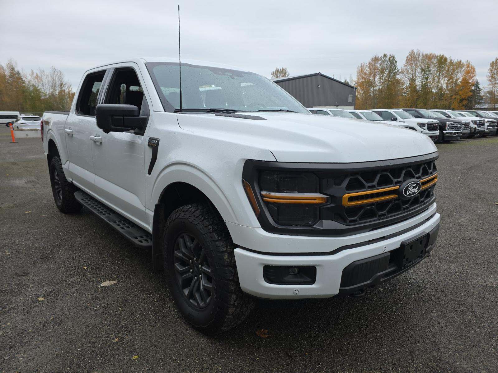 2024 Ford F-150 Tremor AWD