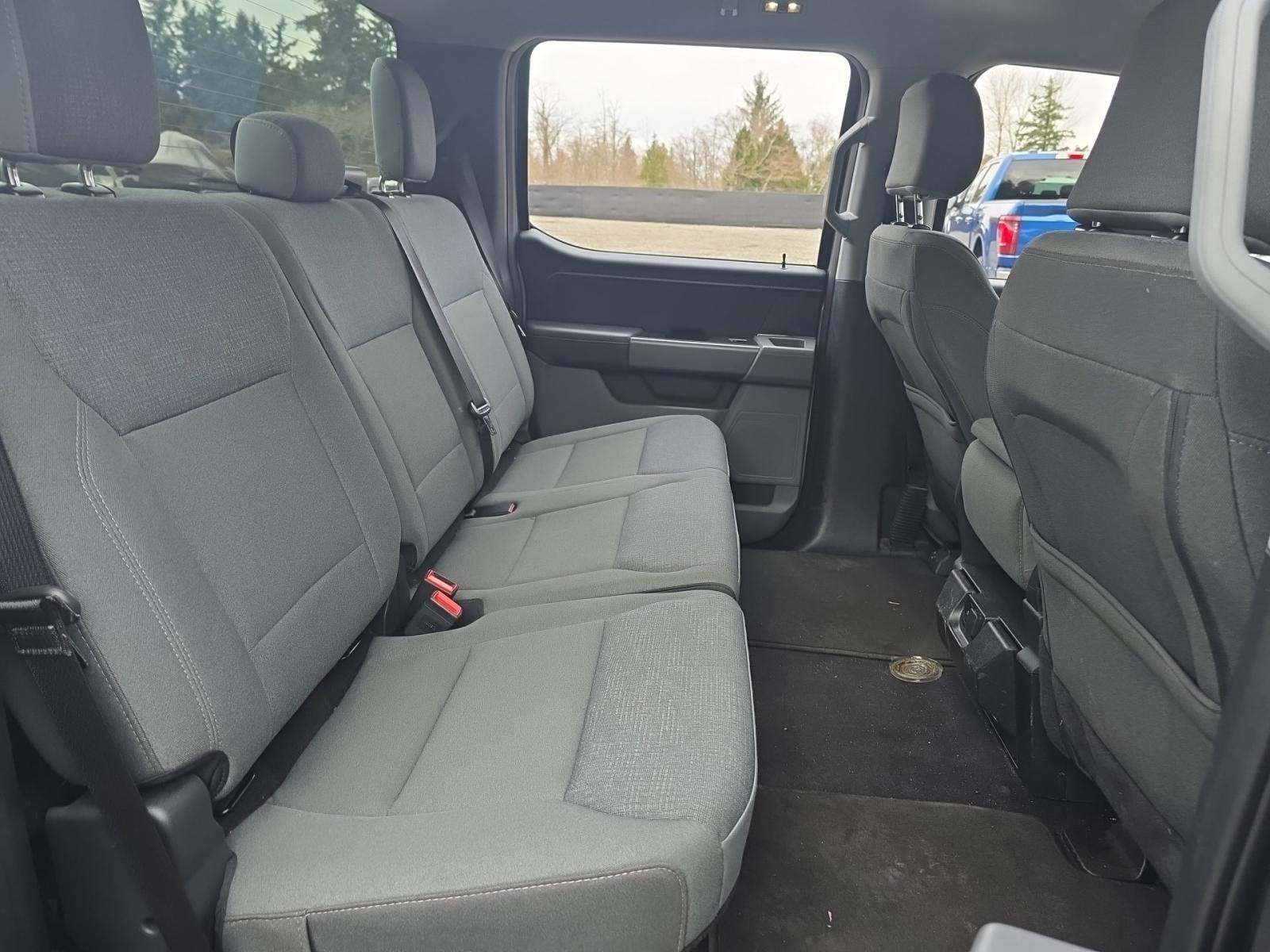 2025 Ford F-150 XLT AWD