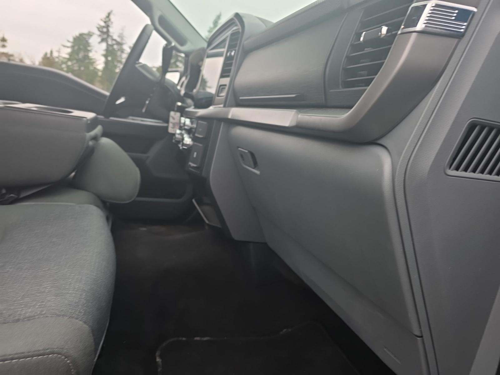 2025 Ford F-150 XLT AWD