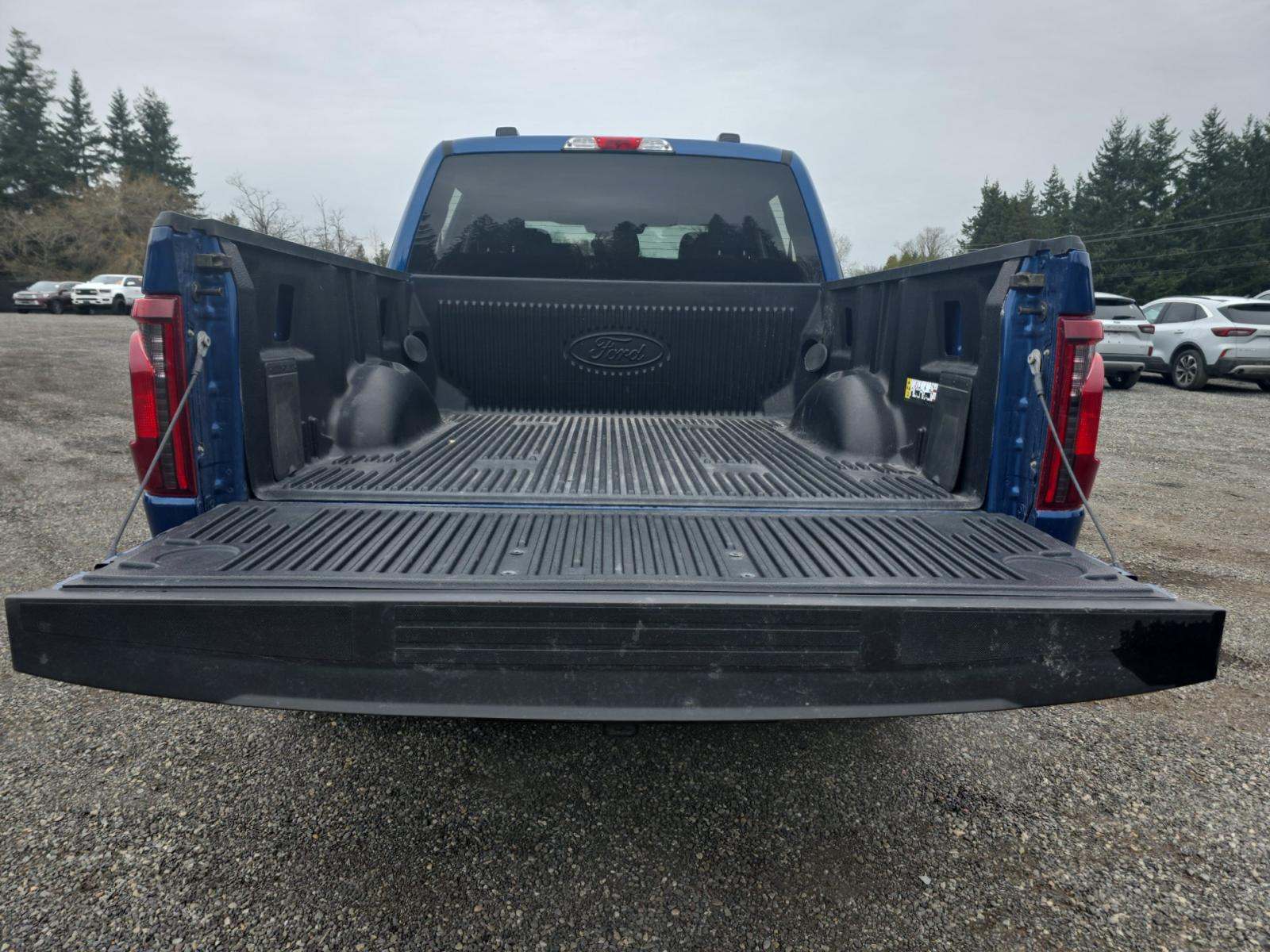 2025 Ford F-150 XLT AWD