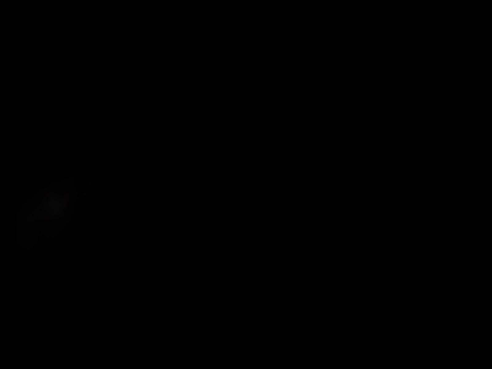 2020 Tesla Model 3 Standard Range Plus RWD