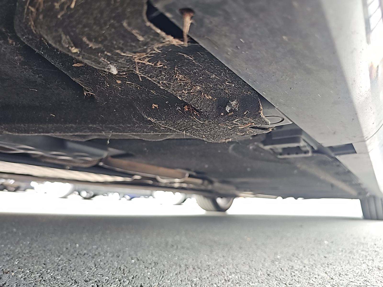 2020 Mercedes-Benz S-Class S 560 RWD