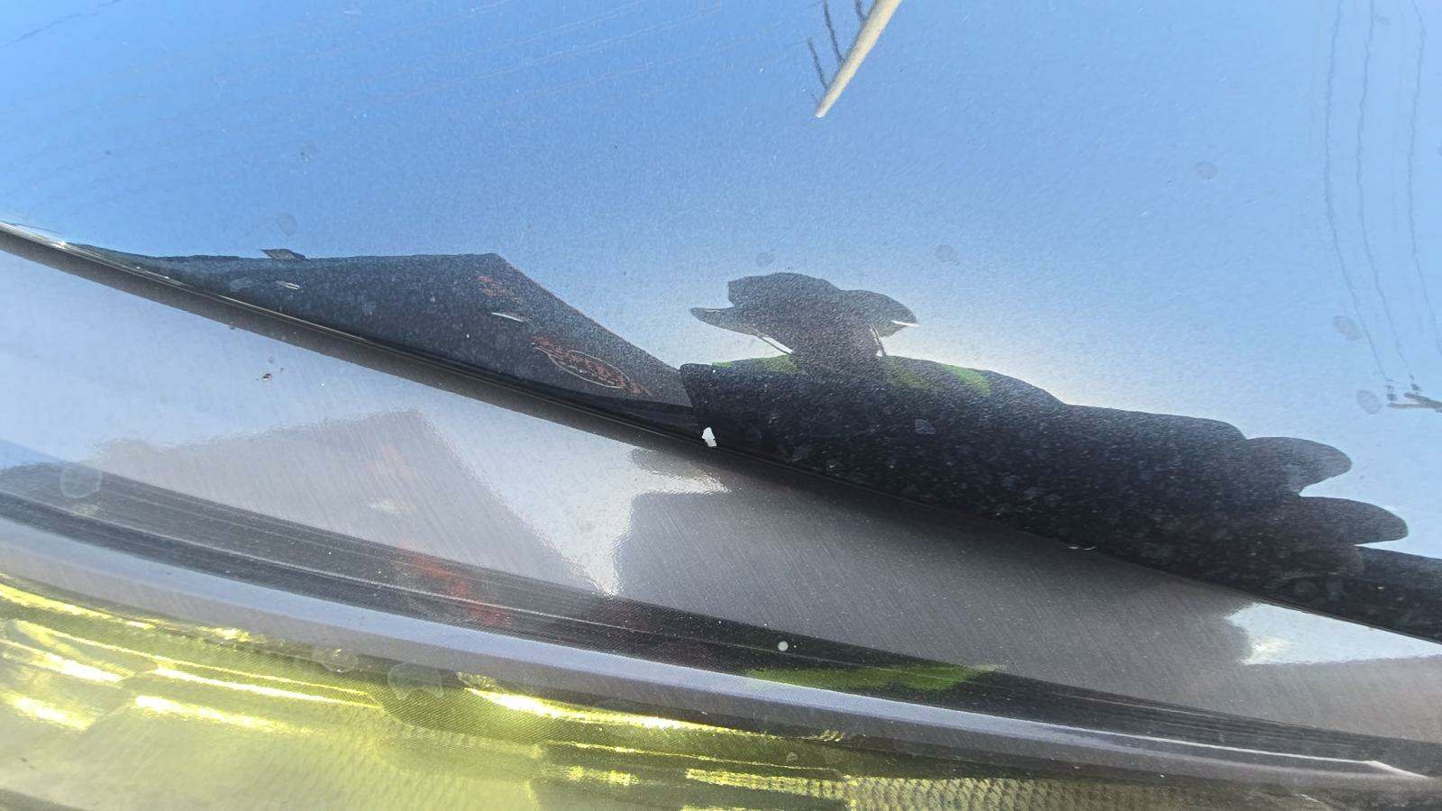 2019 BMW 5 Series 540i RWD